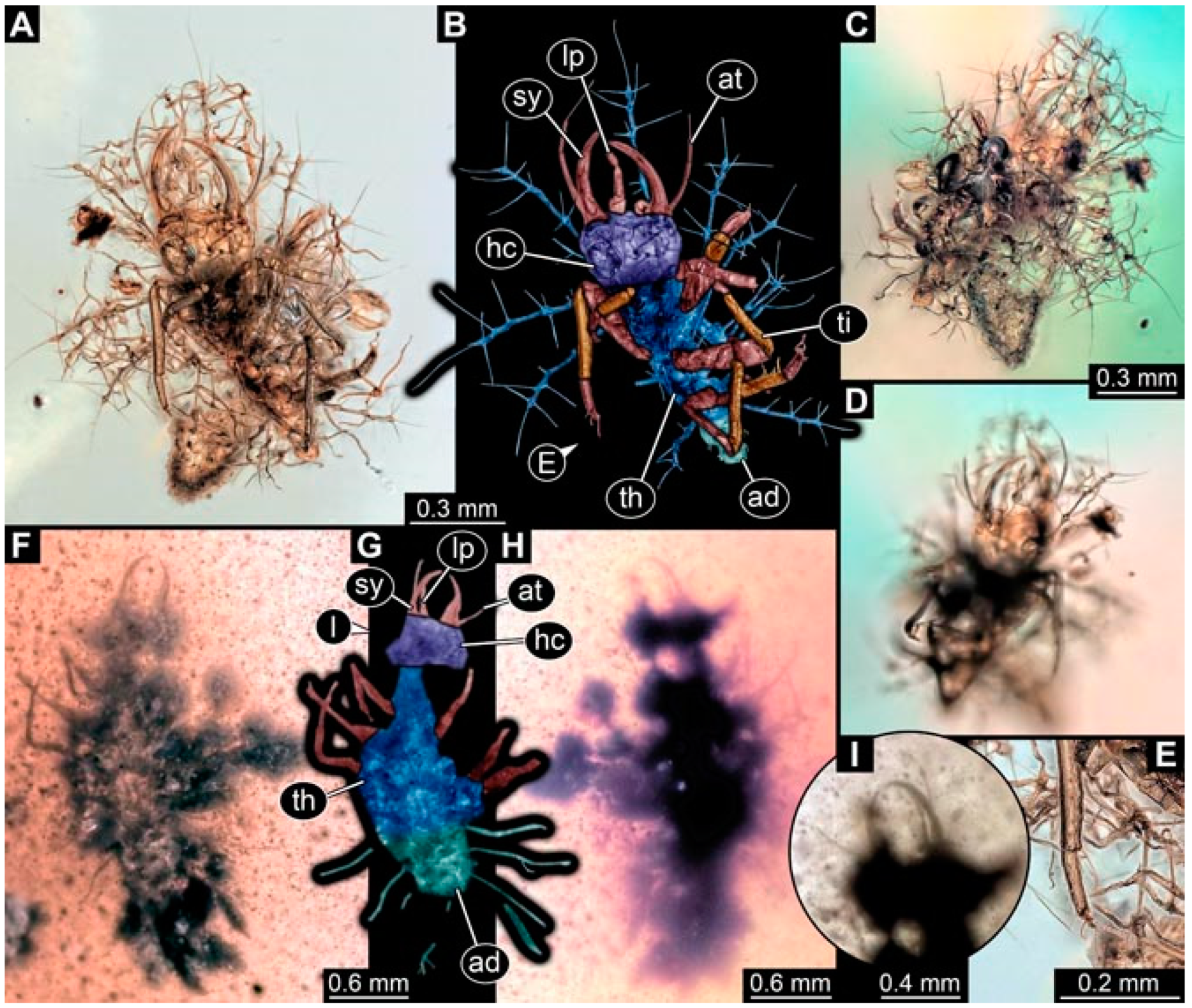 Insects 13 00336 g031