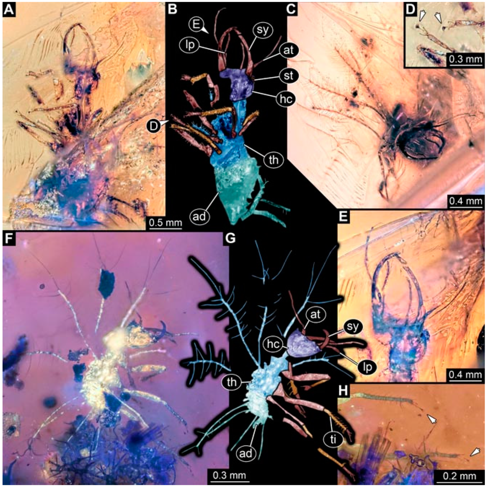 Insects 13 00336 g032