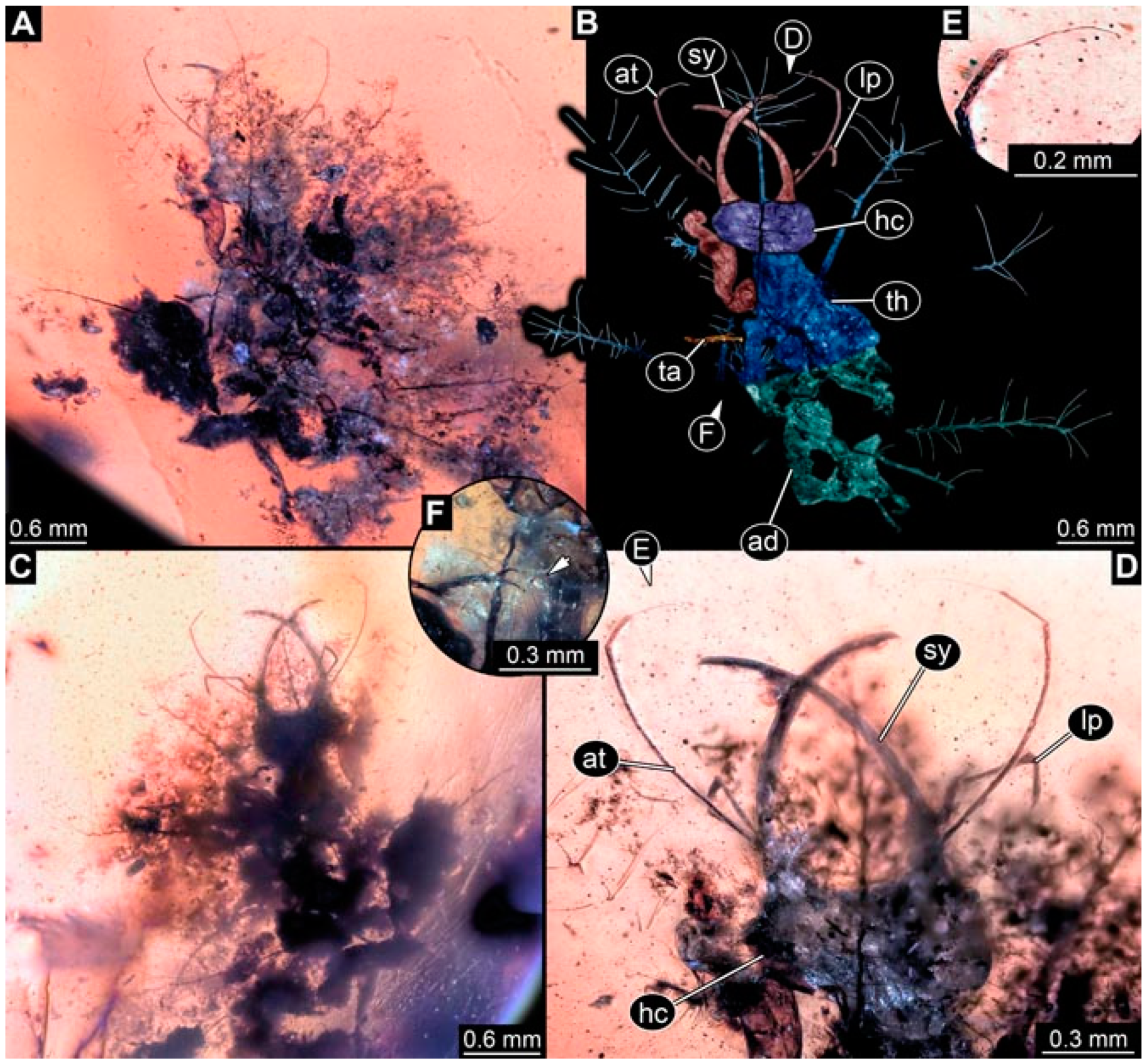 Insects 13 00336 g033