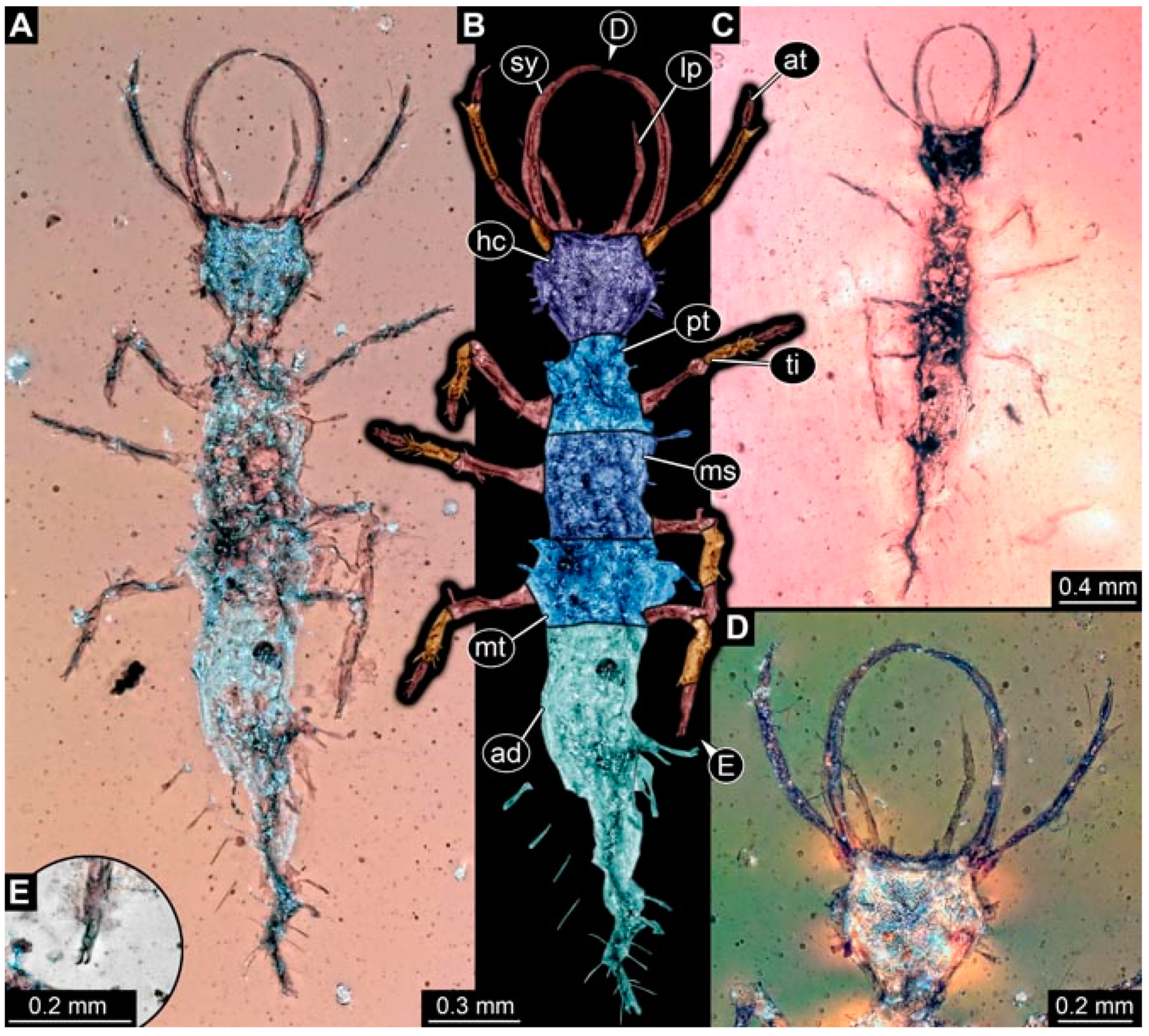 Insects 13 00336 g034