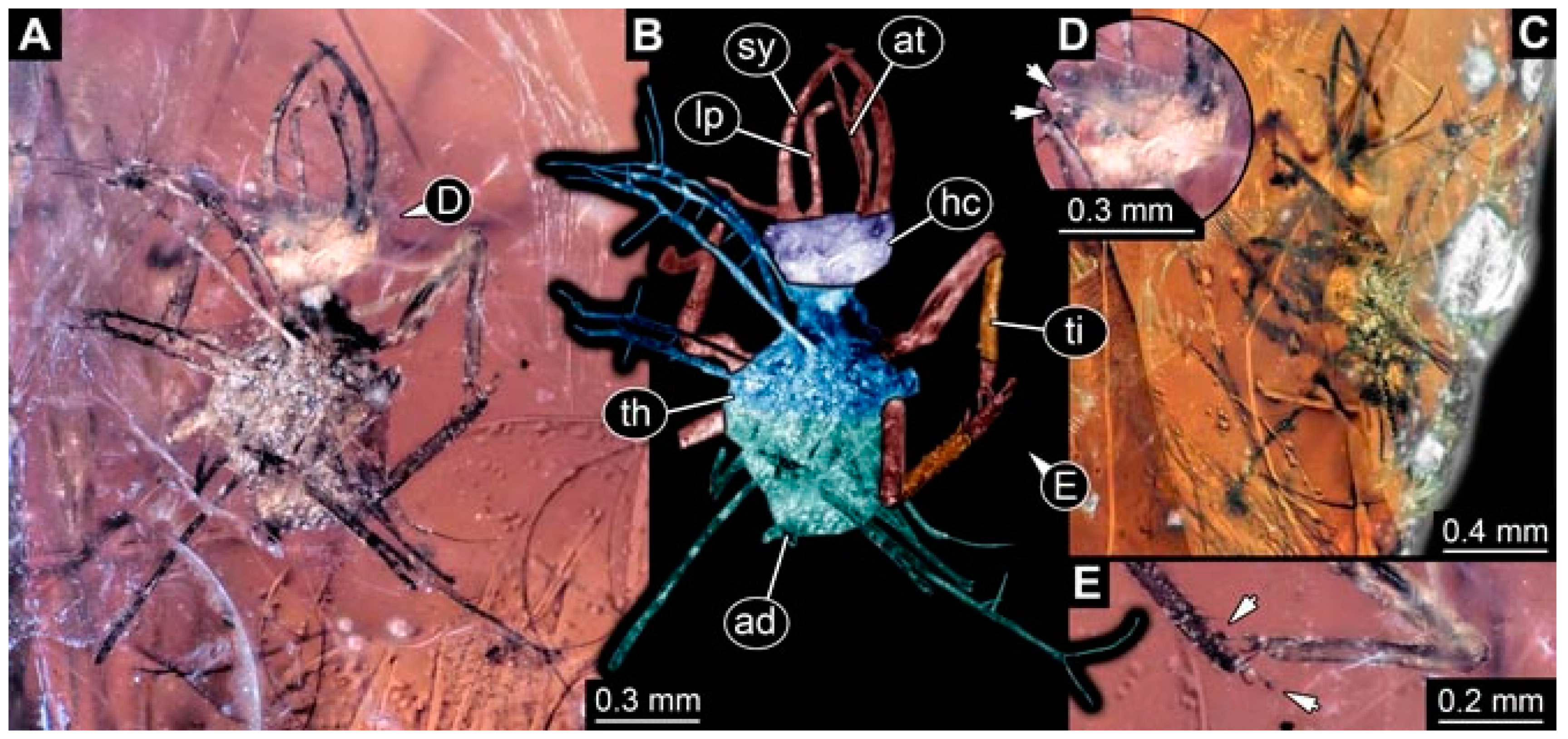Insects 13 00336 g035