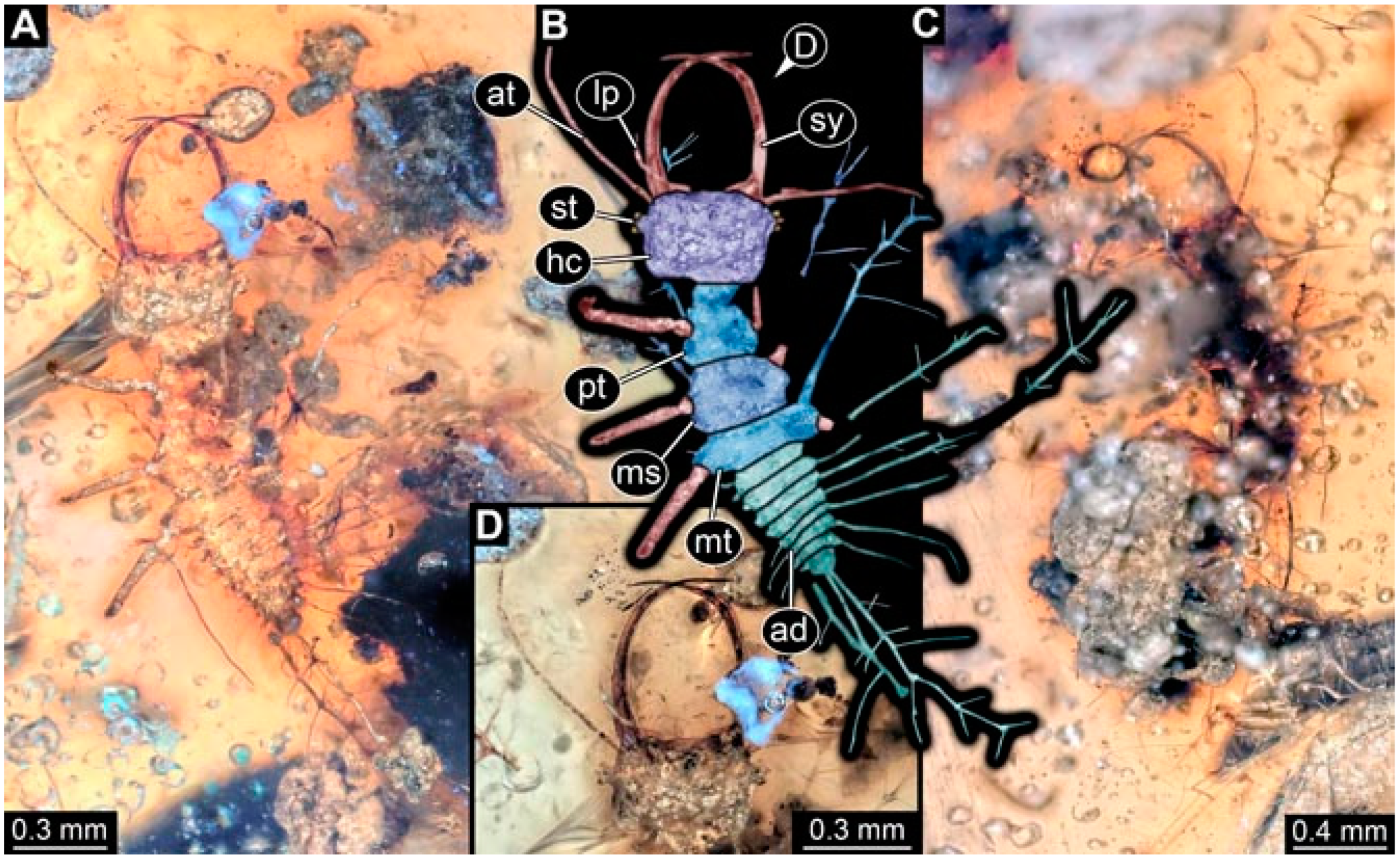 Insects 13 00336 g037