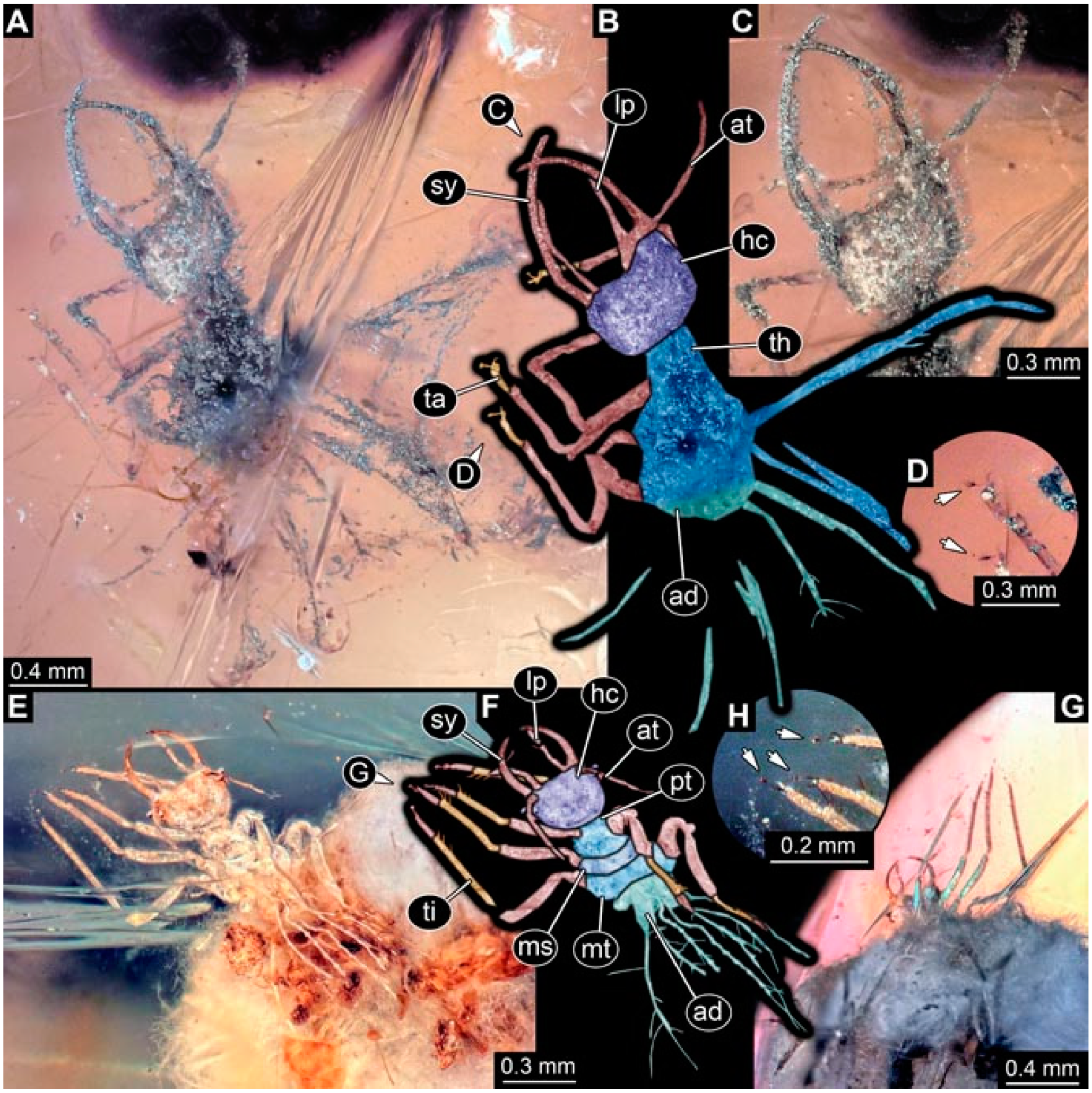 Insects 13 00336 g040