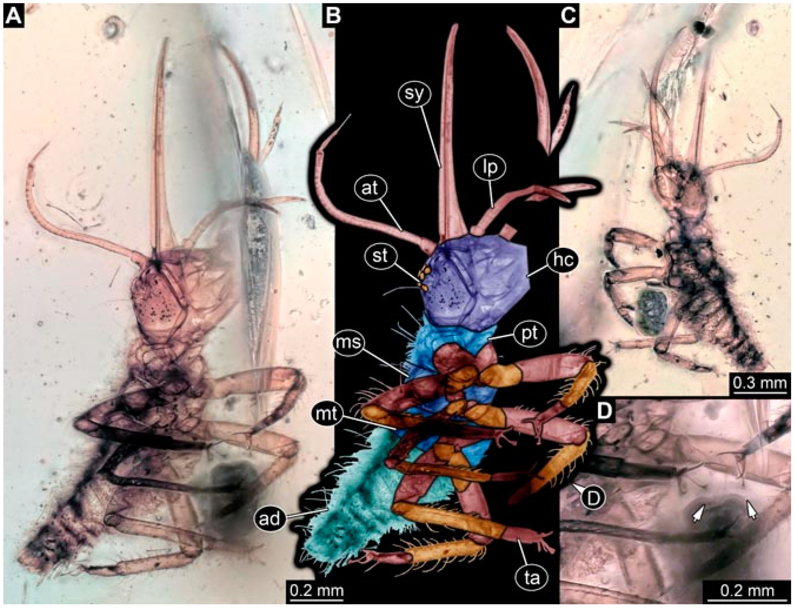 Insects 13 00336 g041