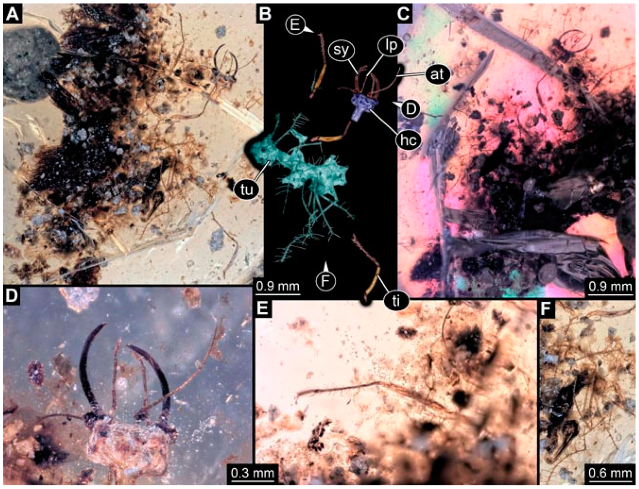 Insects 13 00336 g042