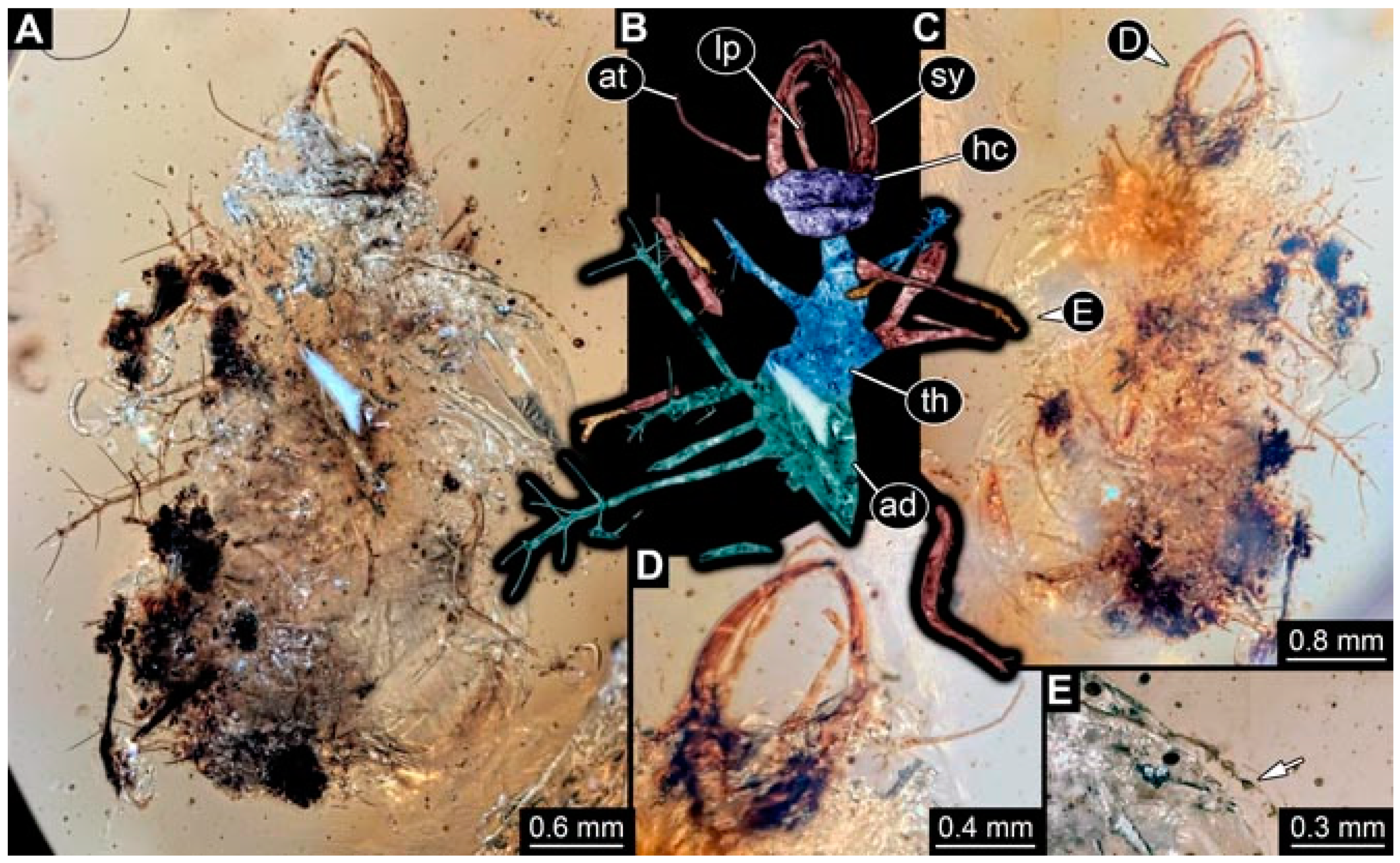 Insects 13 00336 g043