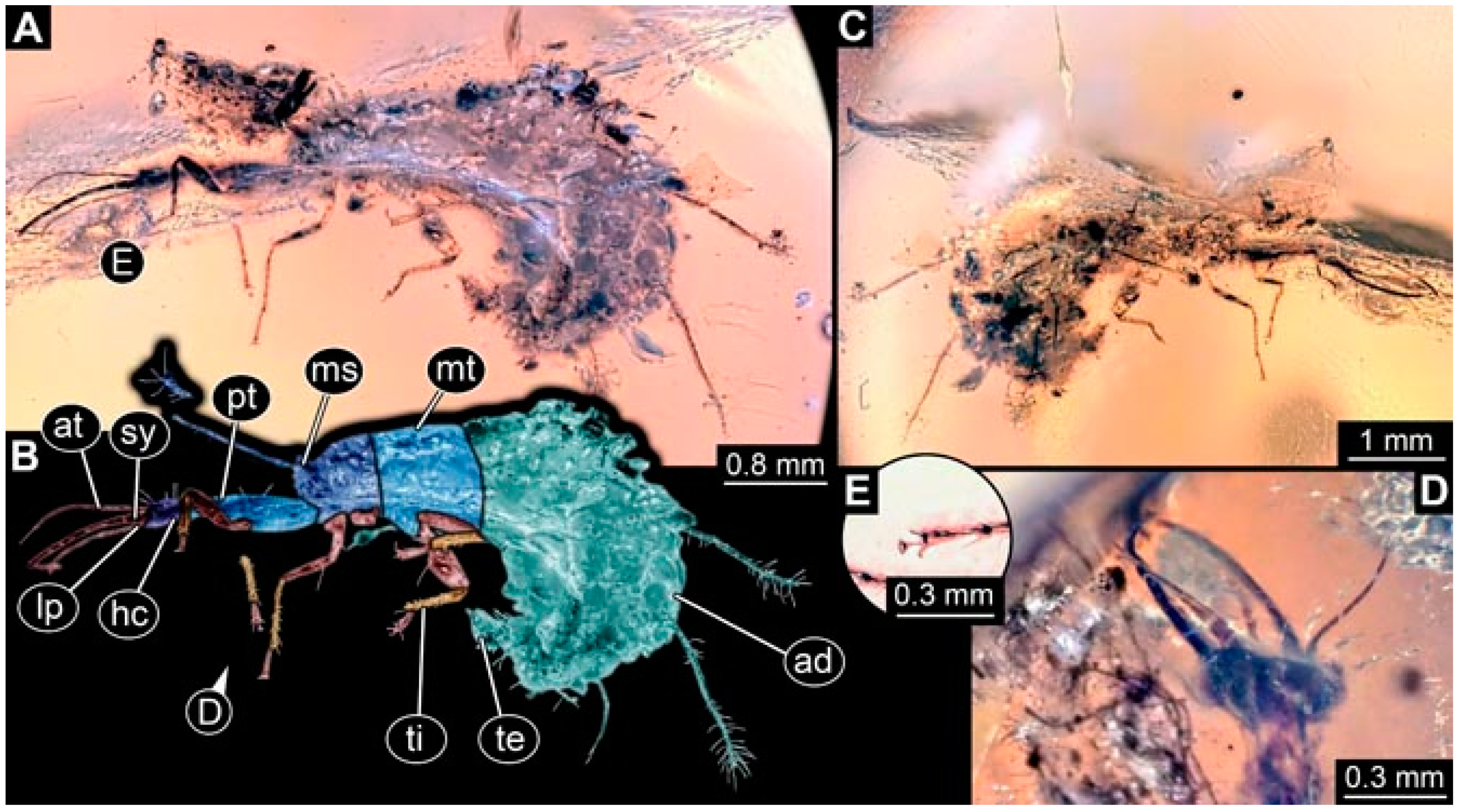 Insects 13 00336 g045