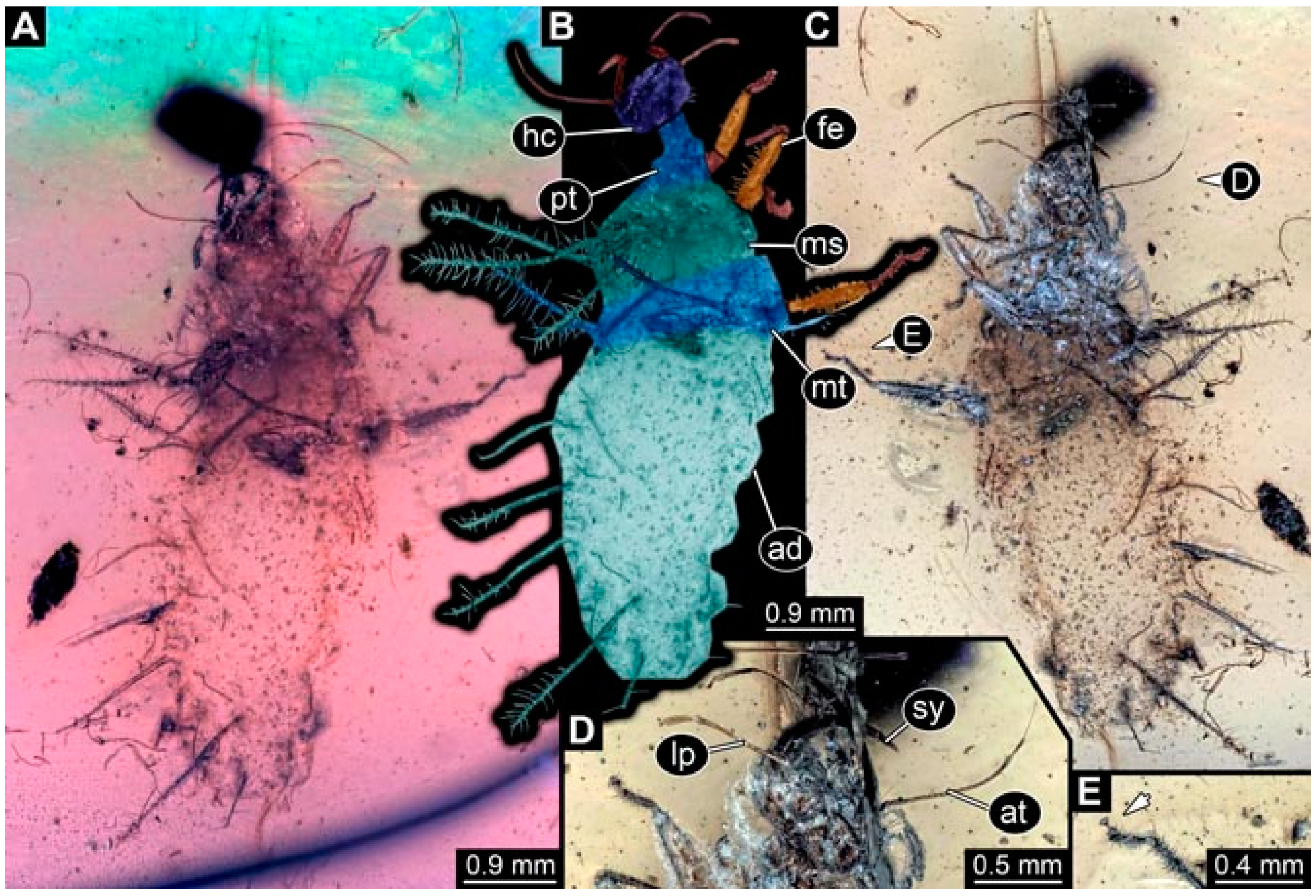 Insects 13 00336 g046