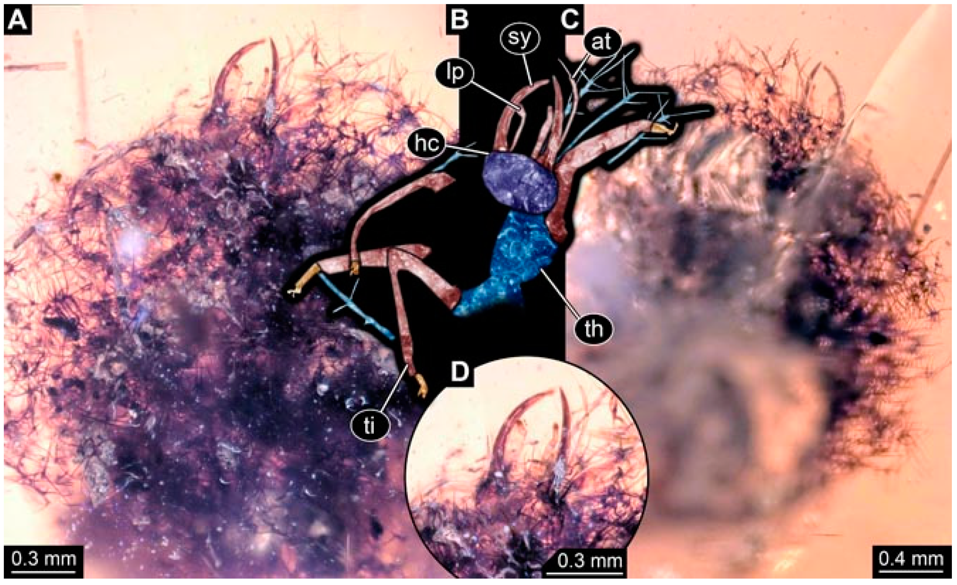 Insects 13 00336 g047