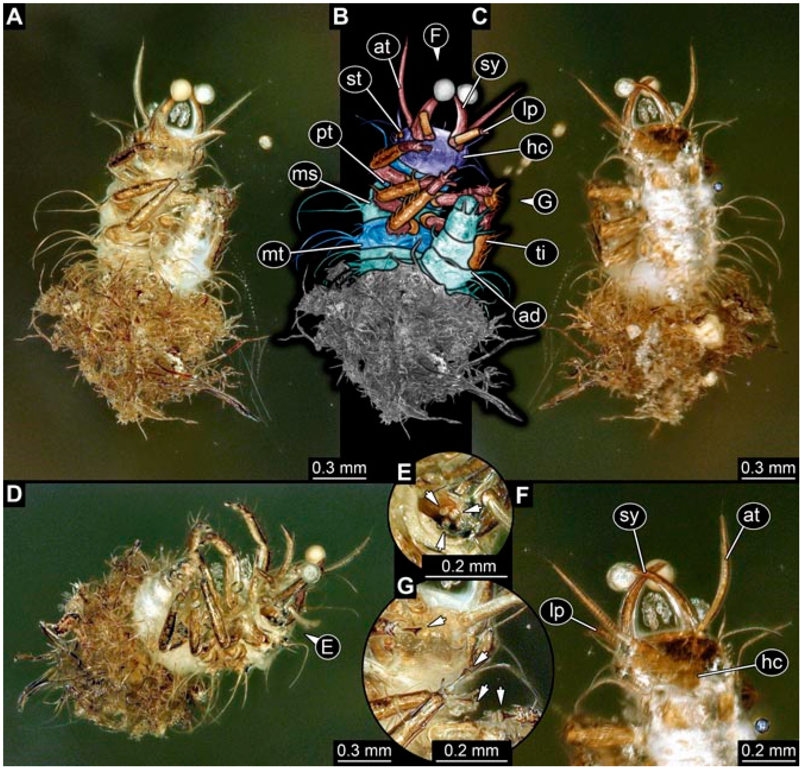 Insects 13 00336 g048