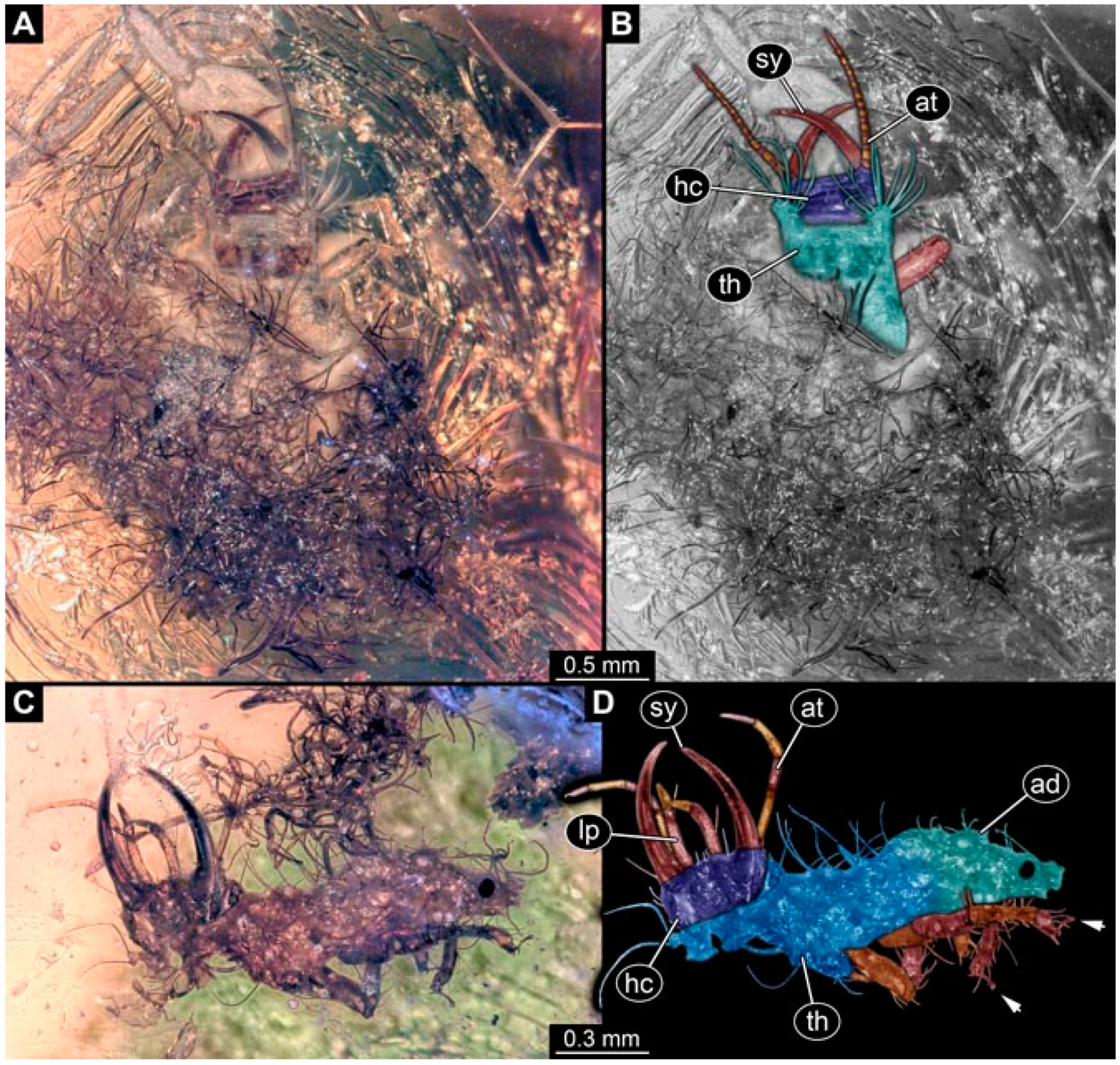 Insects 13 00336 g049