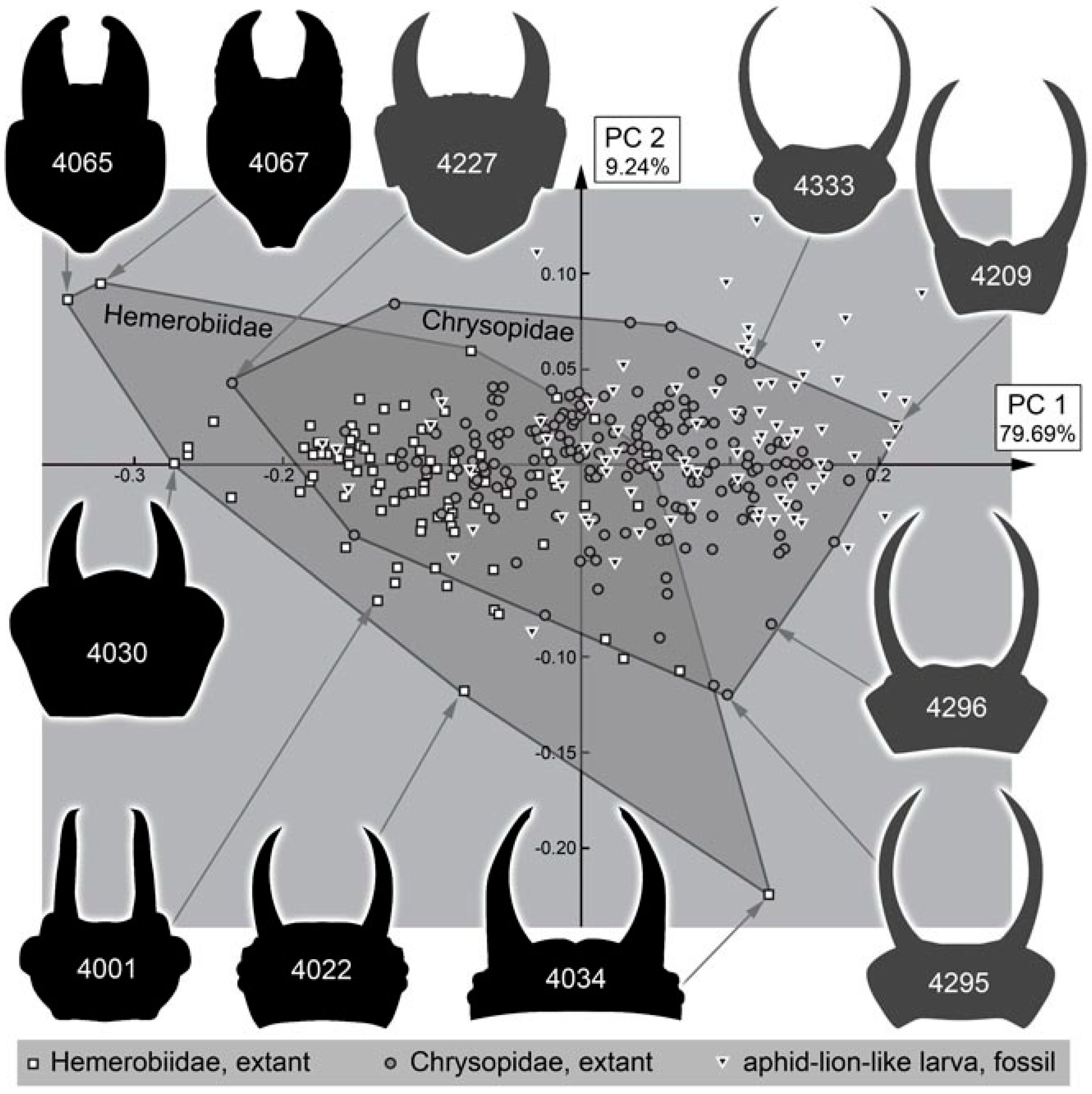 Insects 13 00336 g052