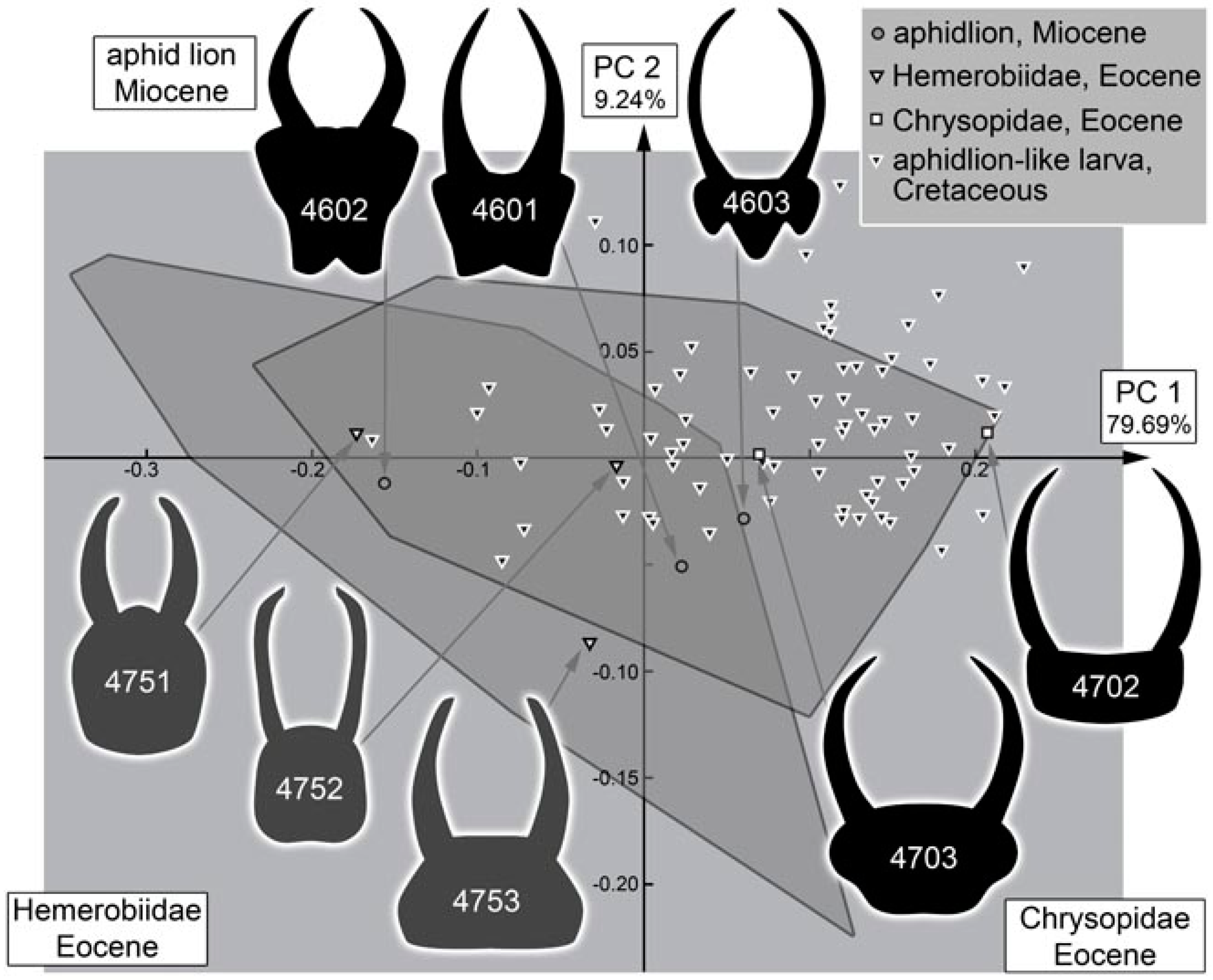 Insects 13 00336 g053