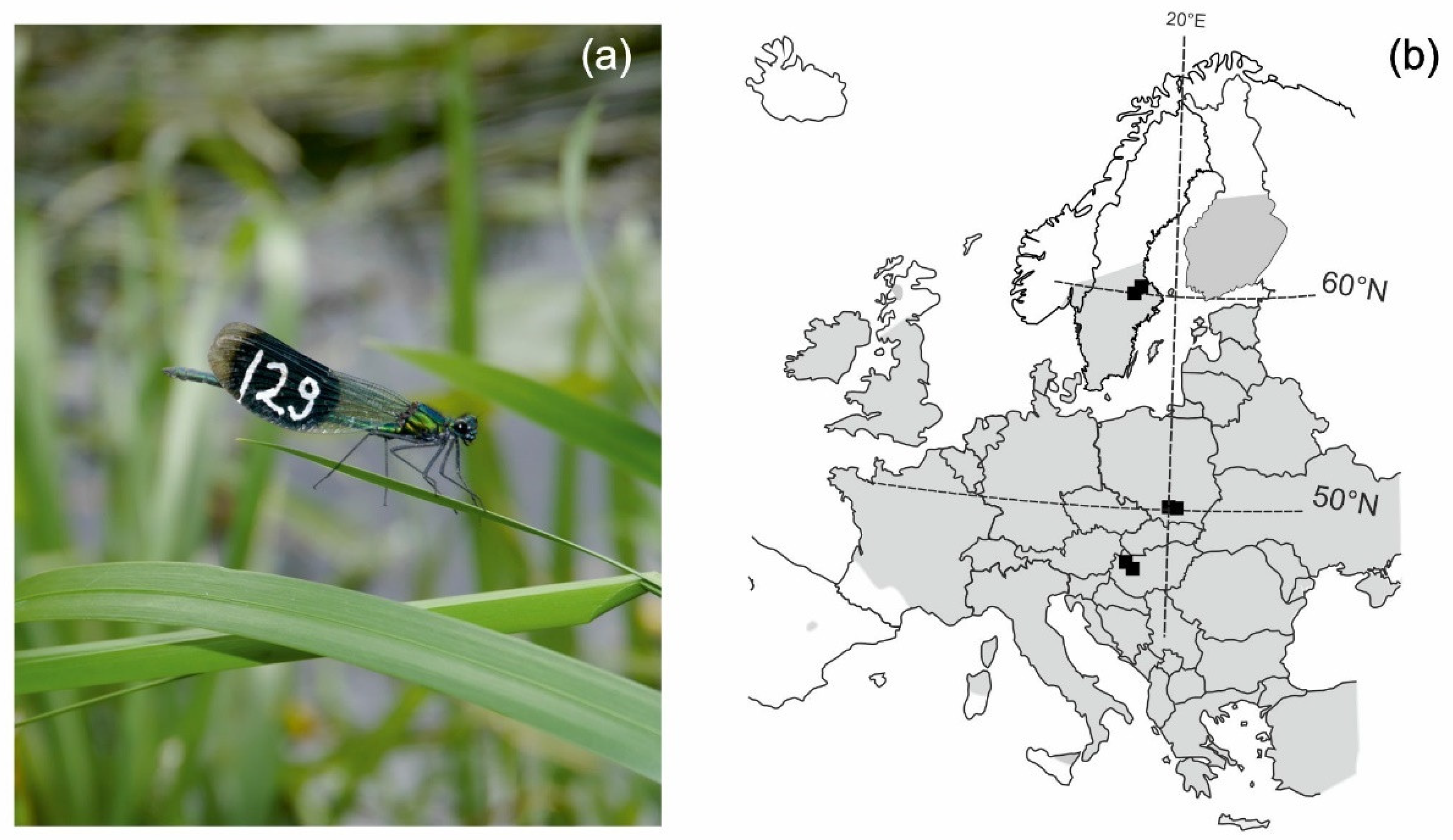 Insects 13 00342 g001