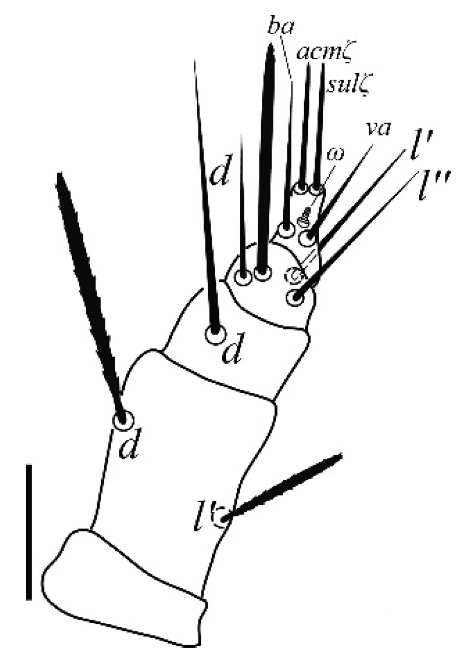 Insects 13 00344 g002