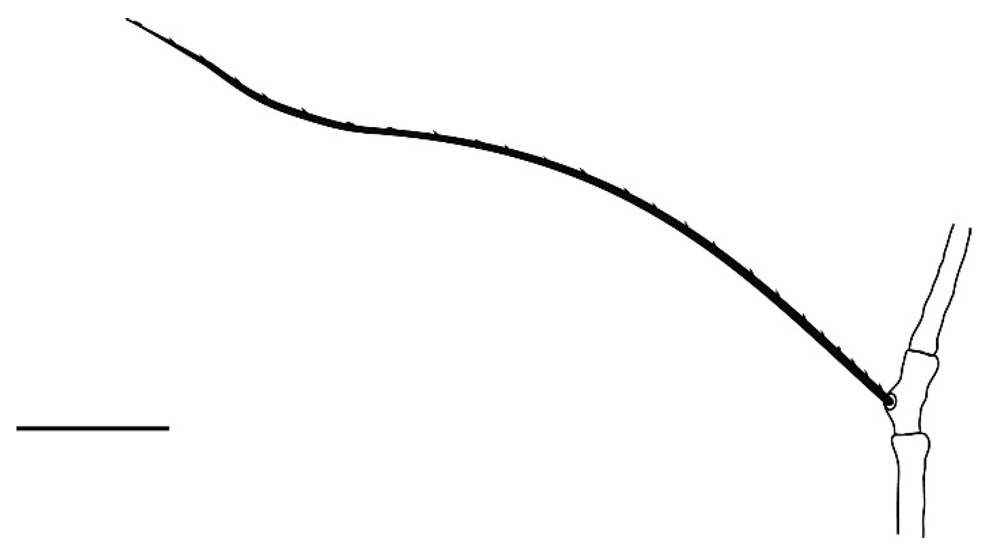 Insects 13 00344 g006