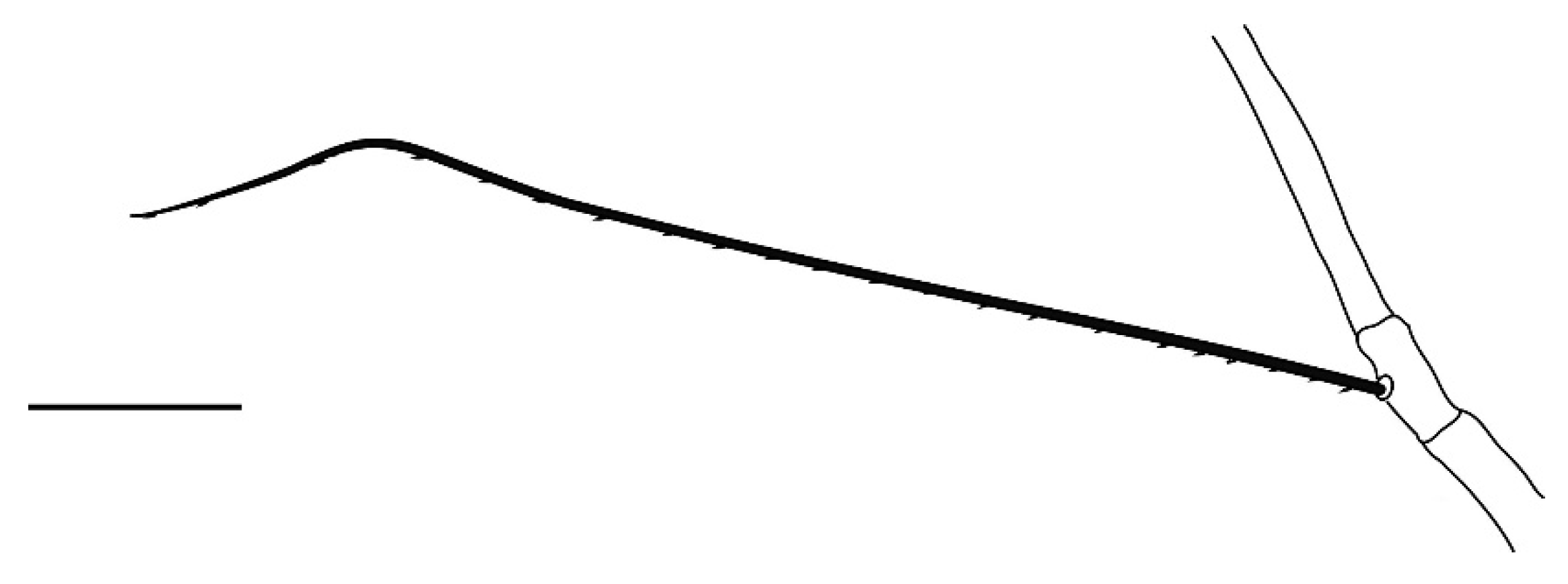 Insects 13 00344 g007