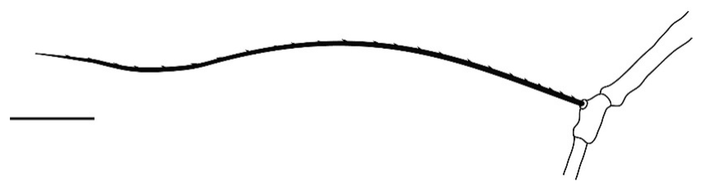 Insects 13 00344 g008