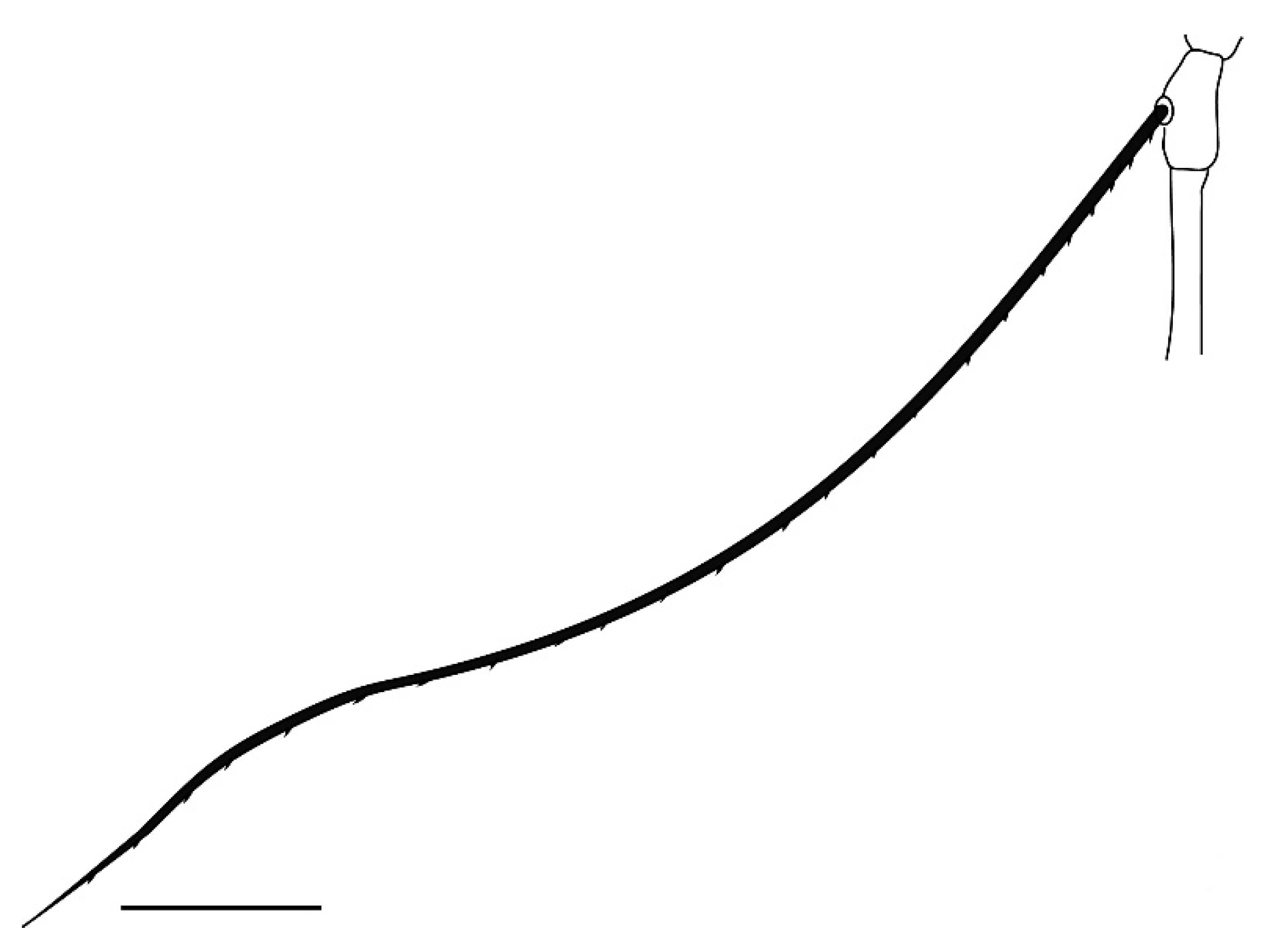 Insects 13 00344 g009