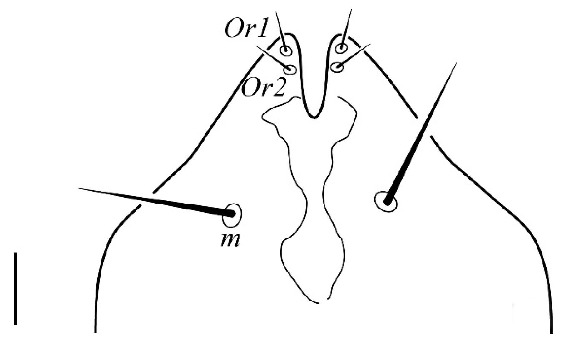 Insects 13 00344 g010