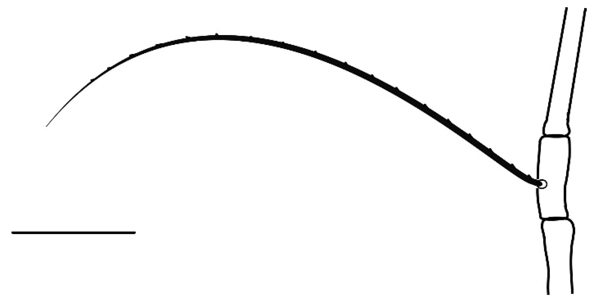 Insects 13 00344 g014