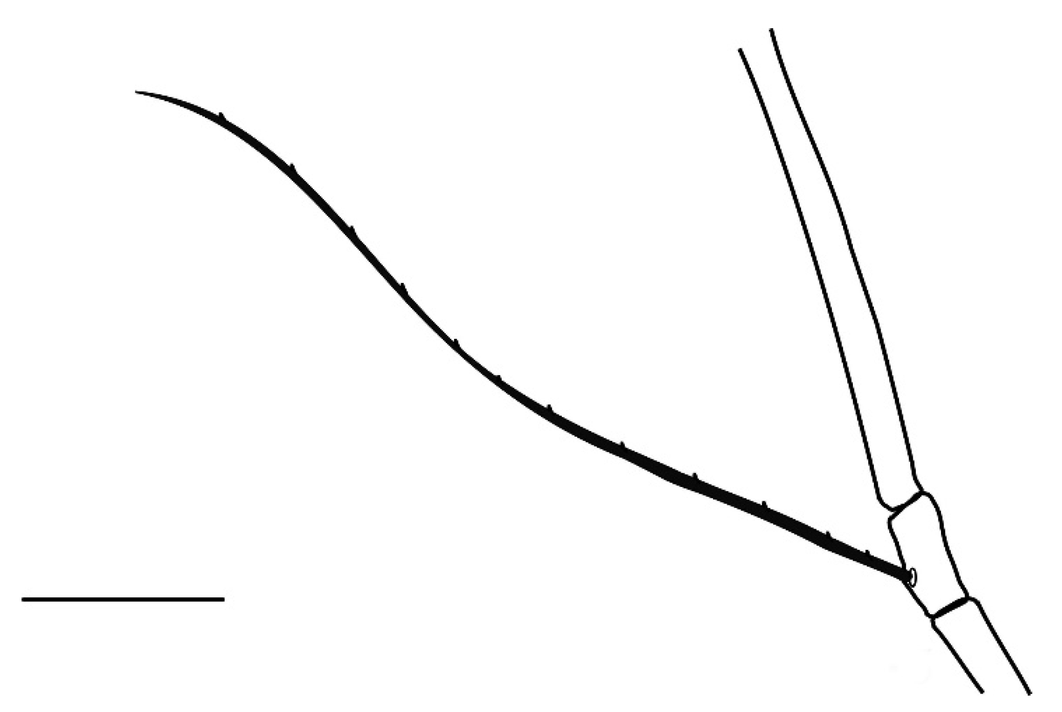 Insects 13 00344 g015