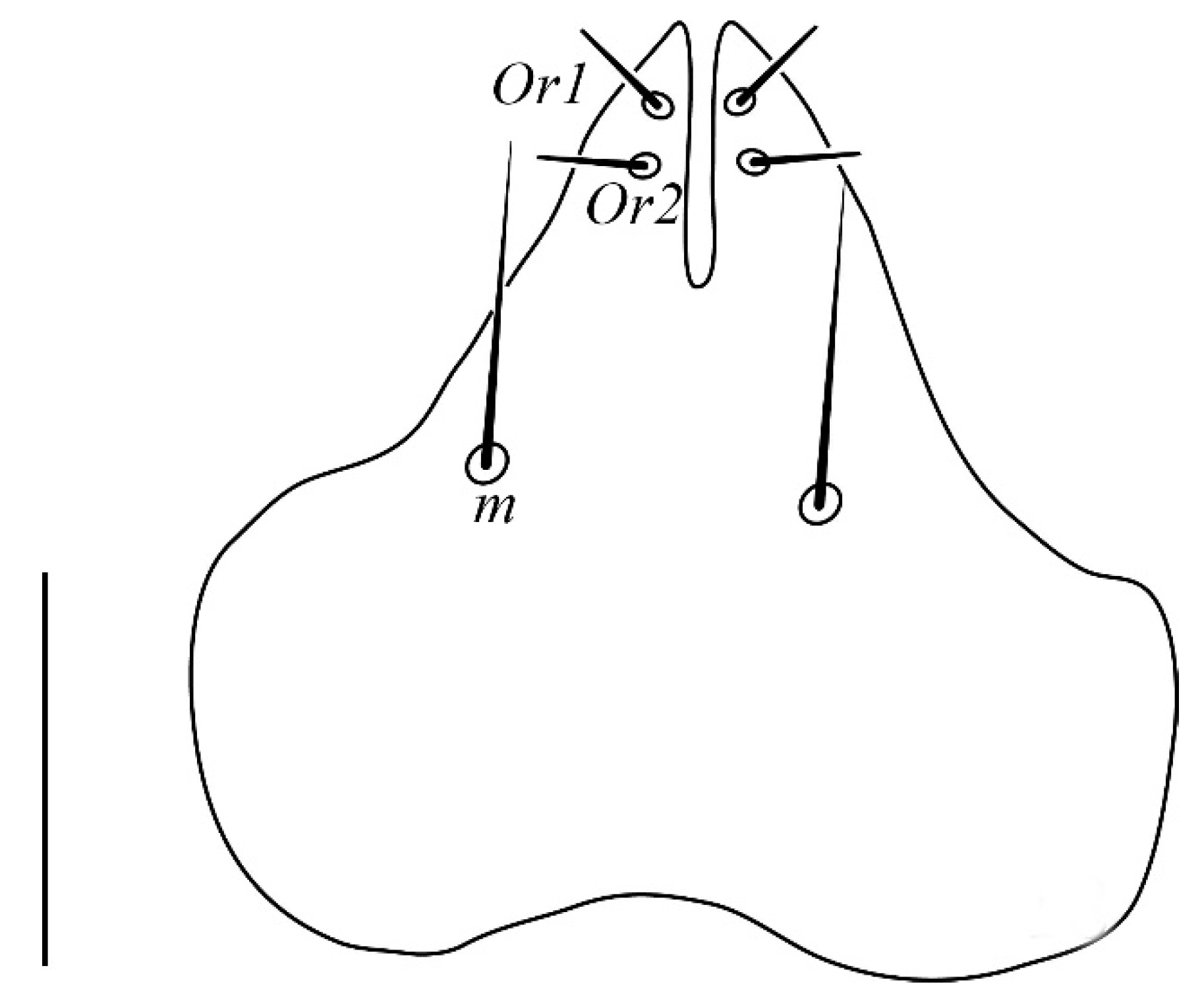 Insects 13 00344 g018