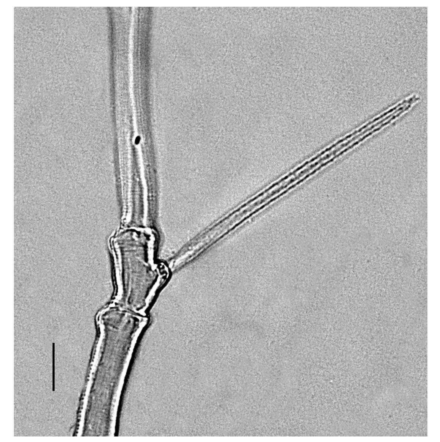 Insects 13 00344 g025