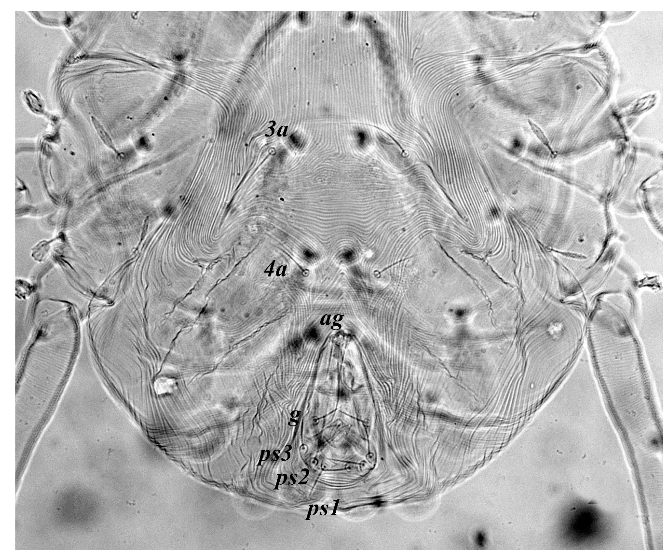 Insects 13 00344 g027