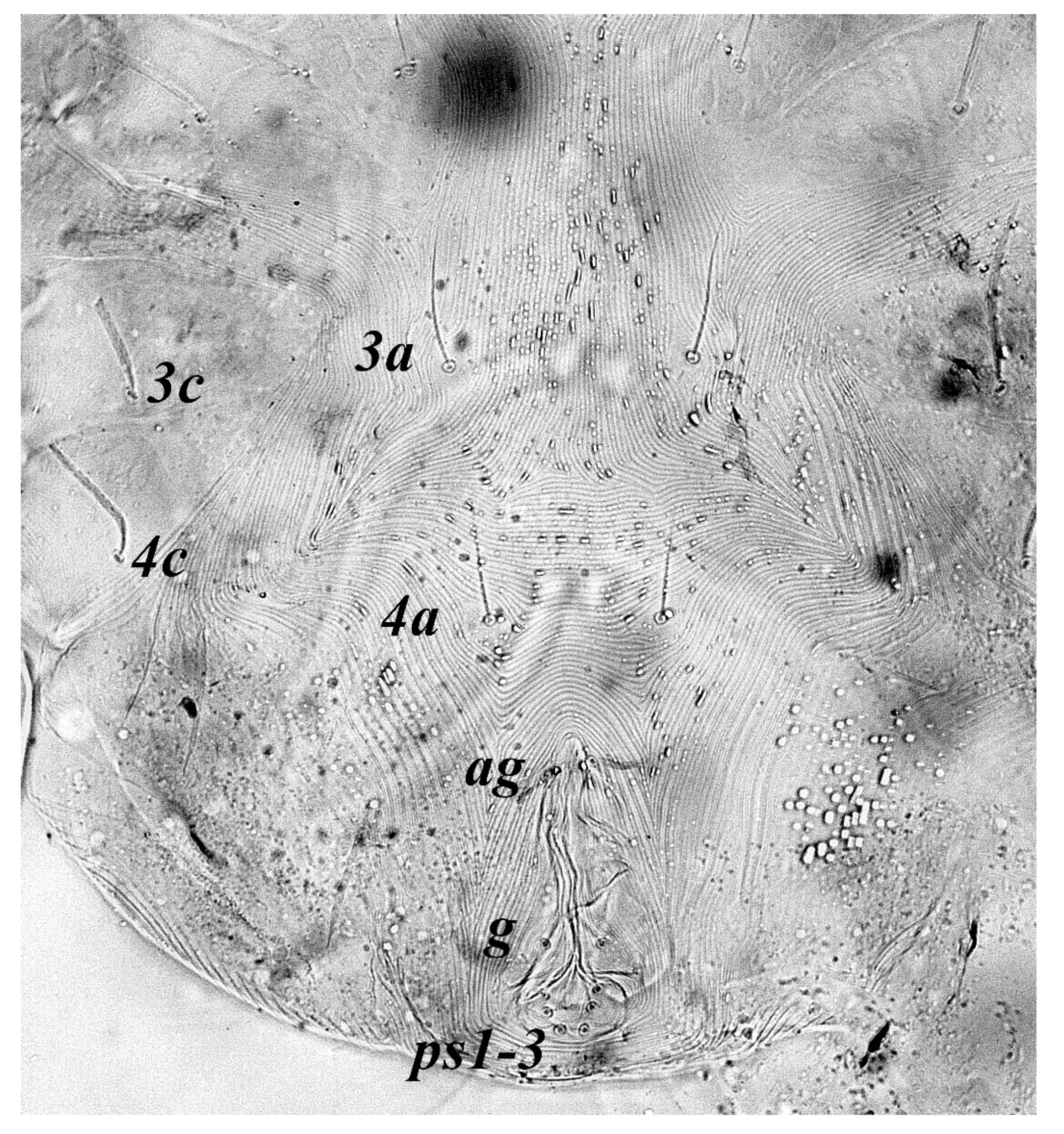 Insects 13 00344 g028