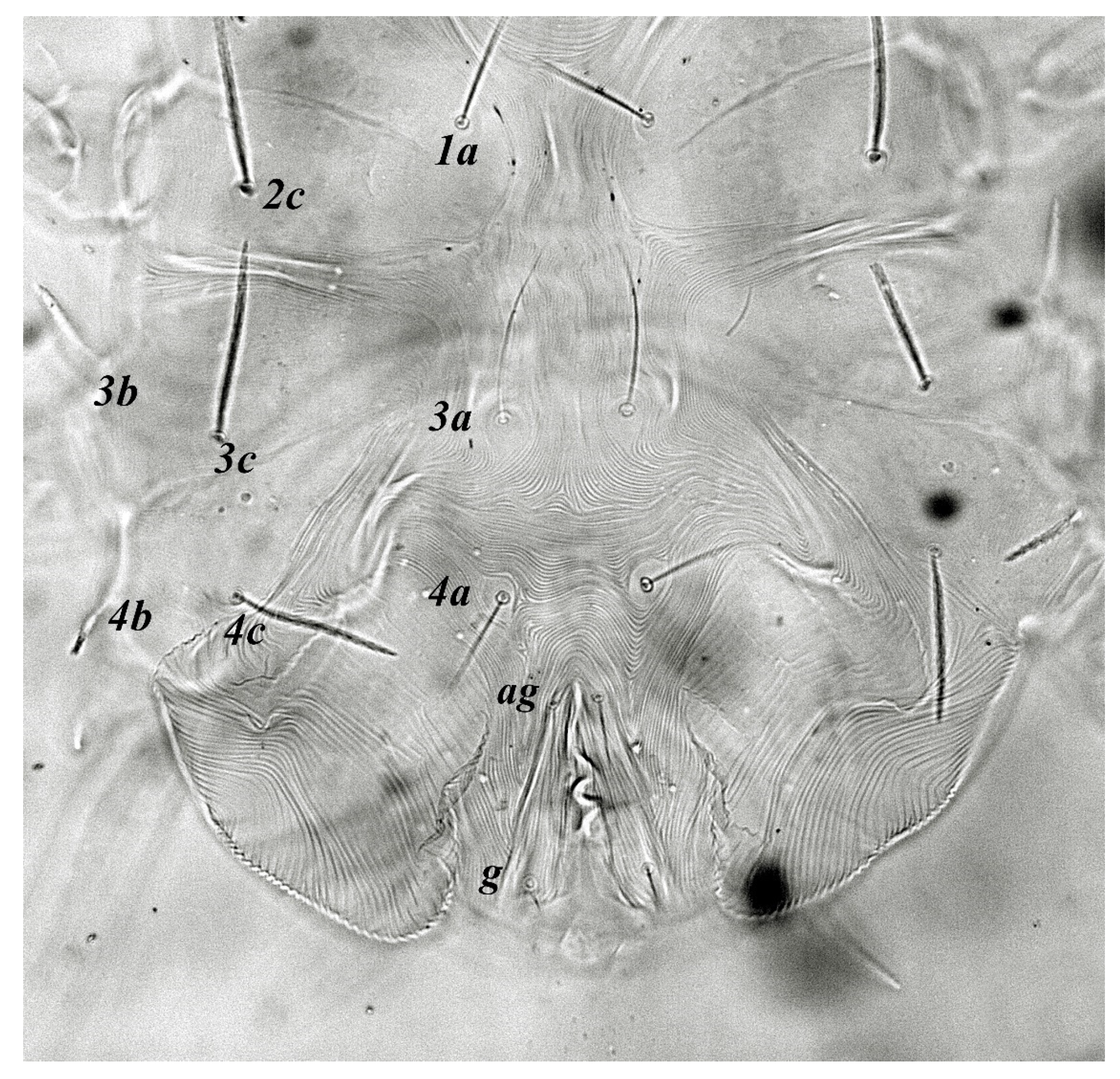 Insects 13 00344 g029