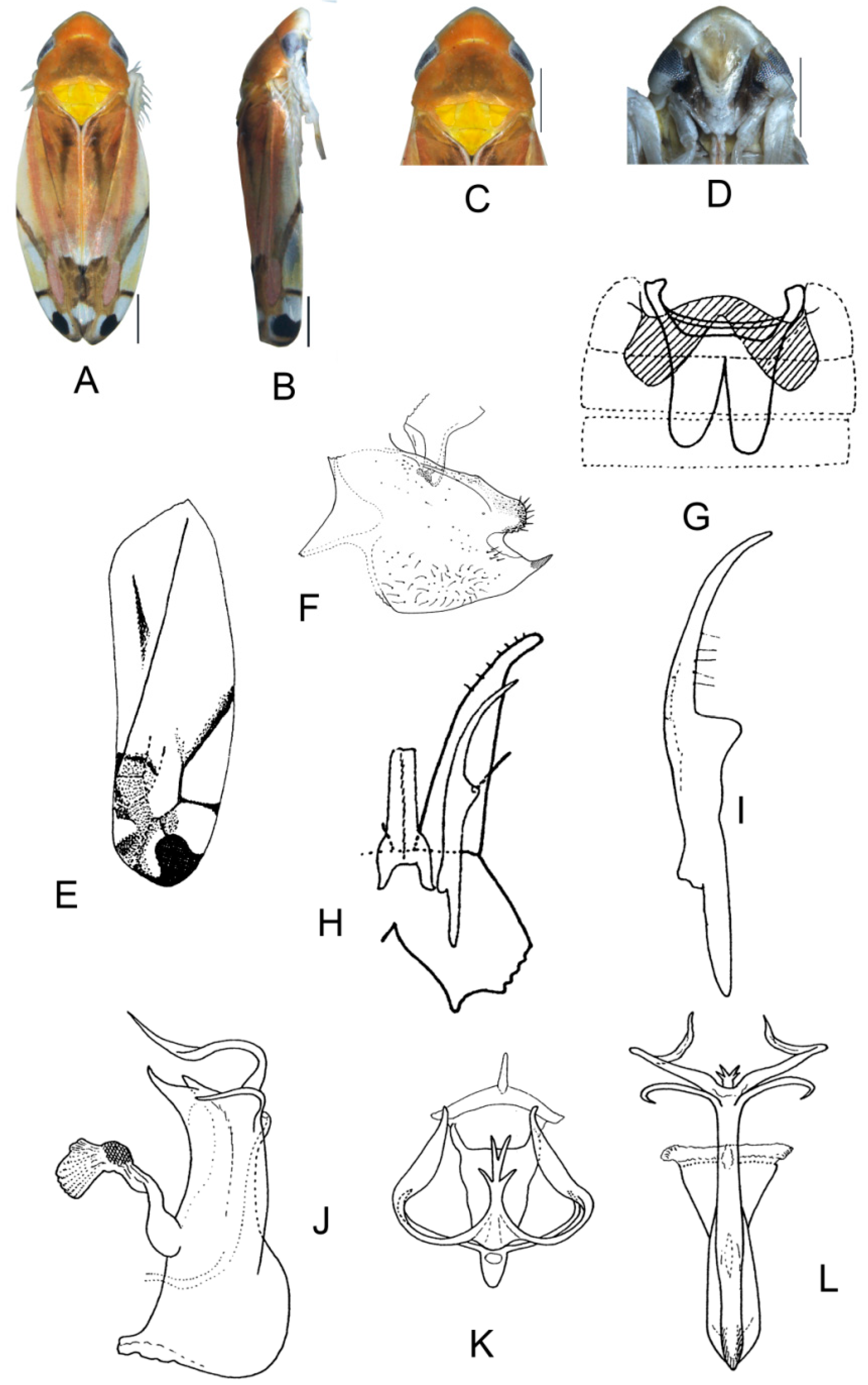 Insects 13 00345 g005