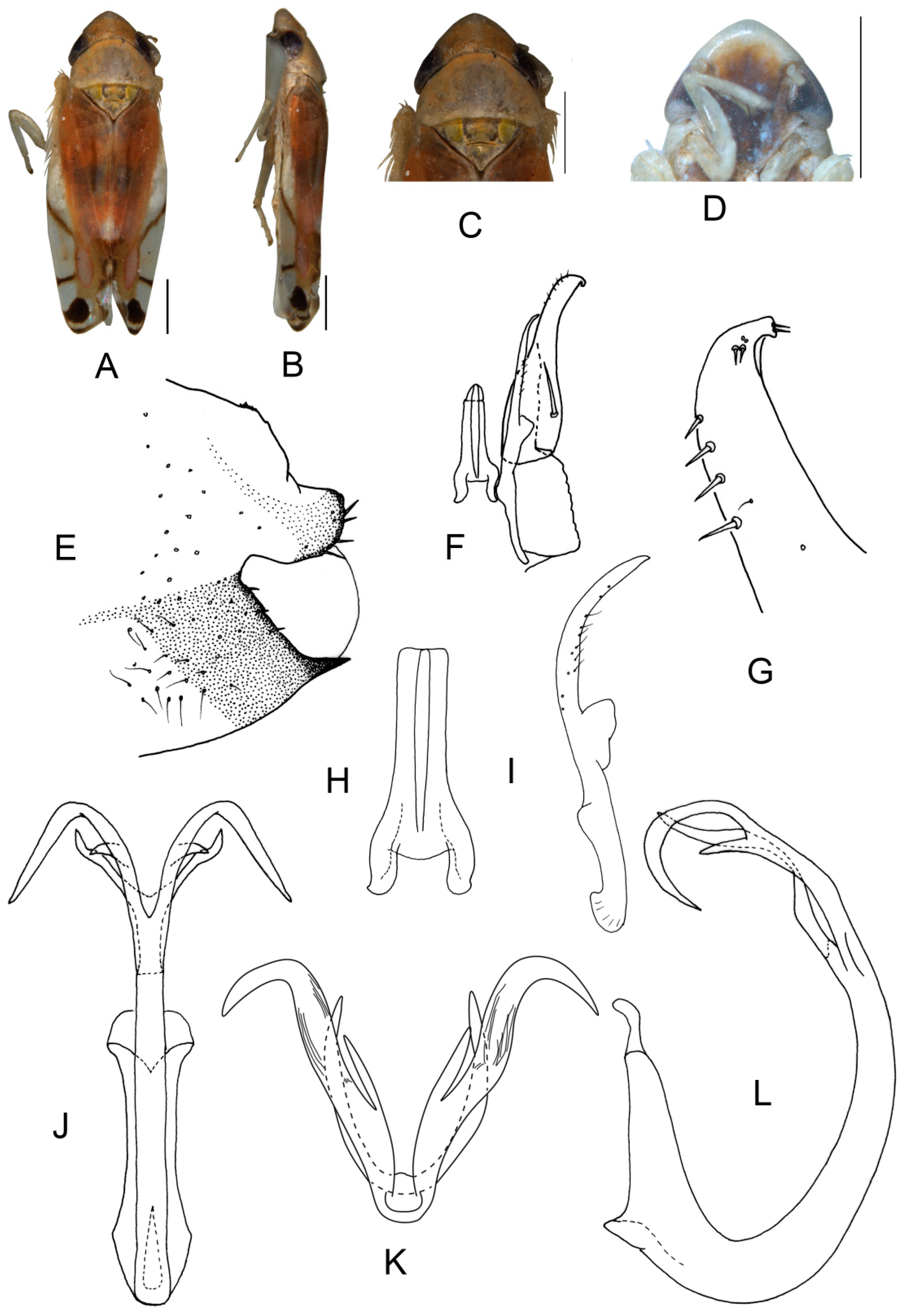 Insects 13 00345 g007