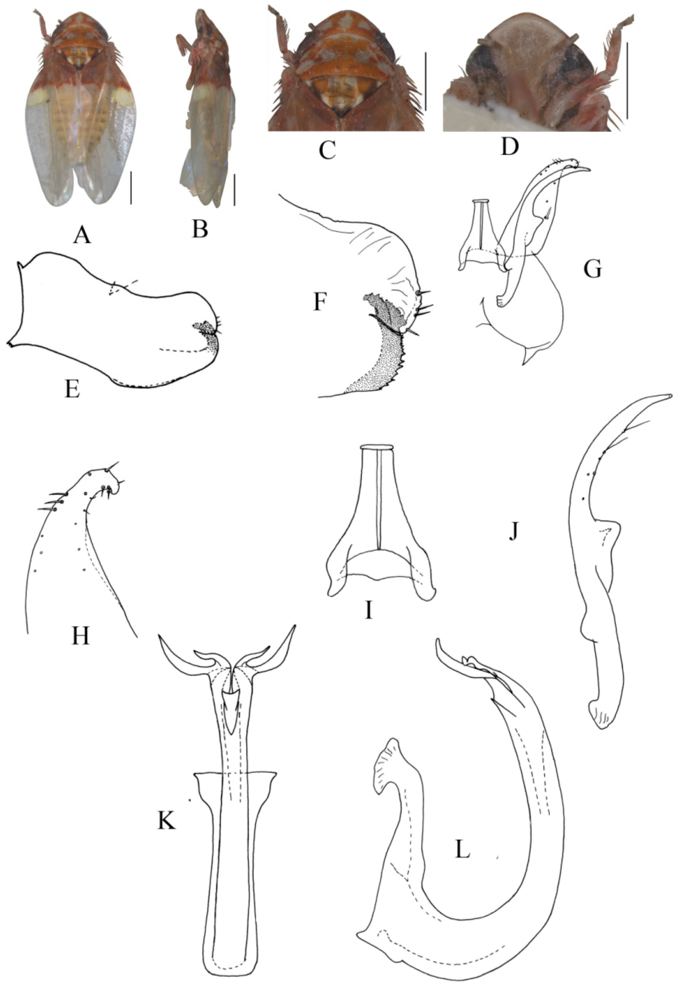 Insects 13 00345 g009