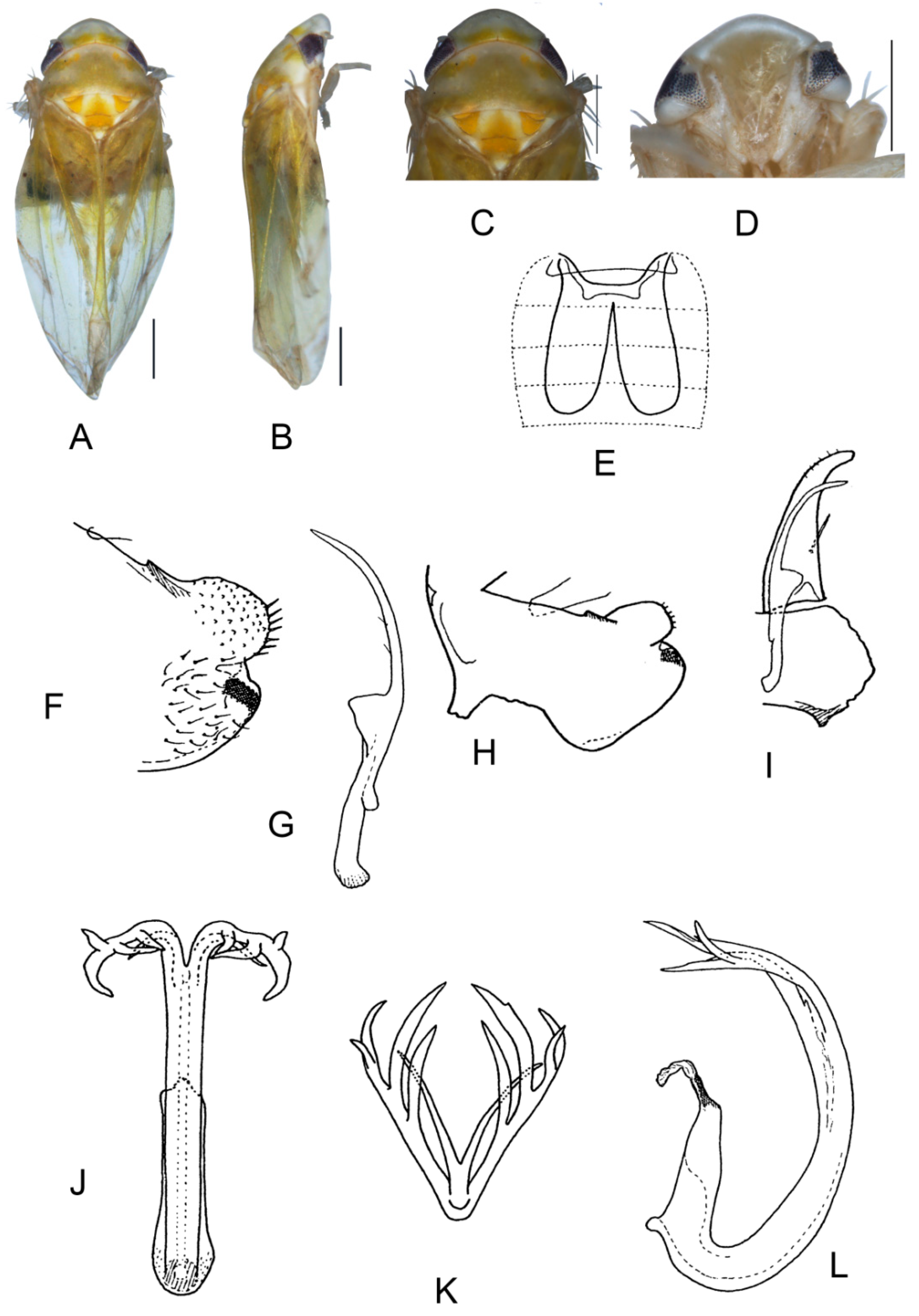 Insects 13 00345 g015