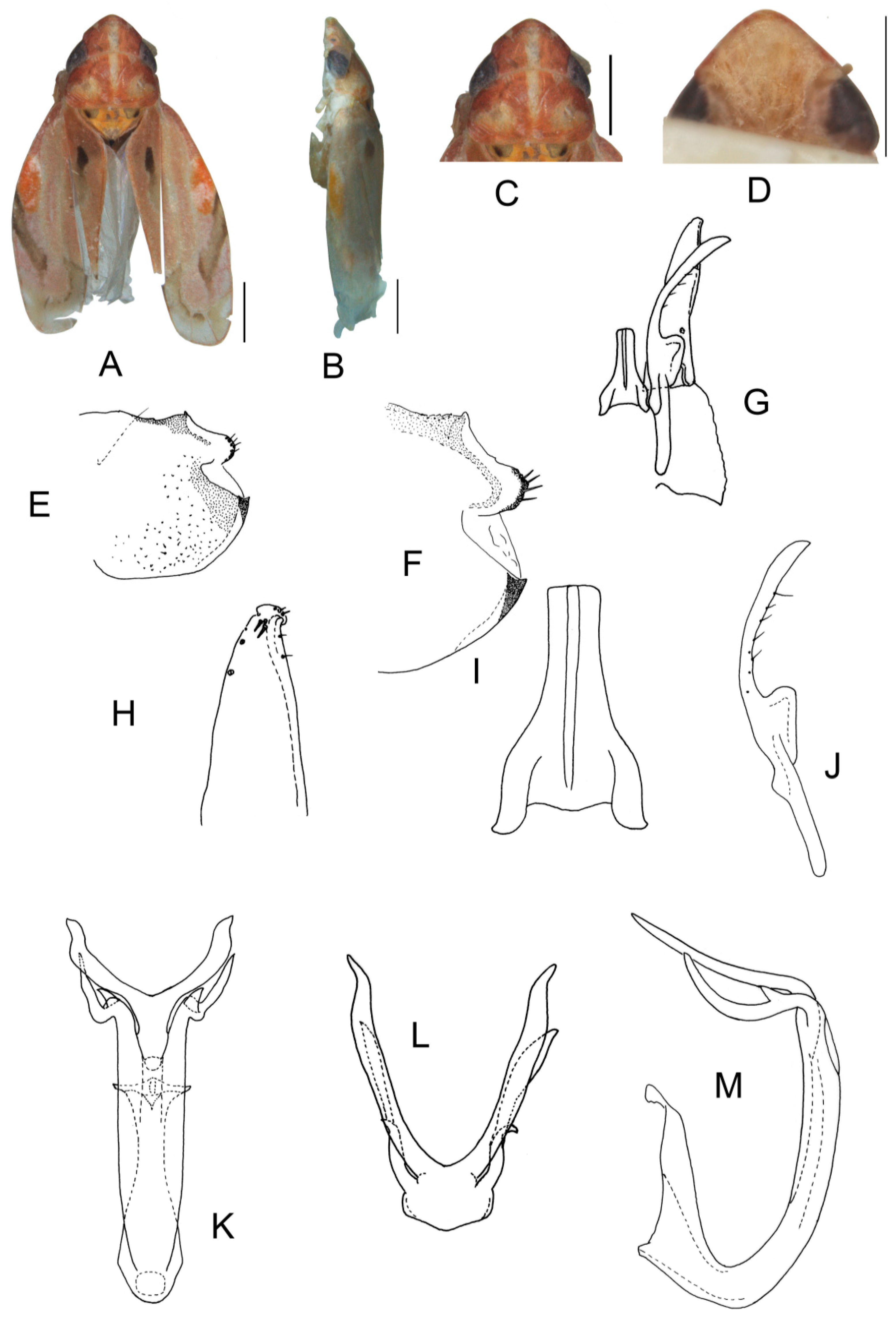 Insects 13 00345 g018