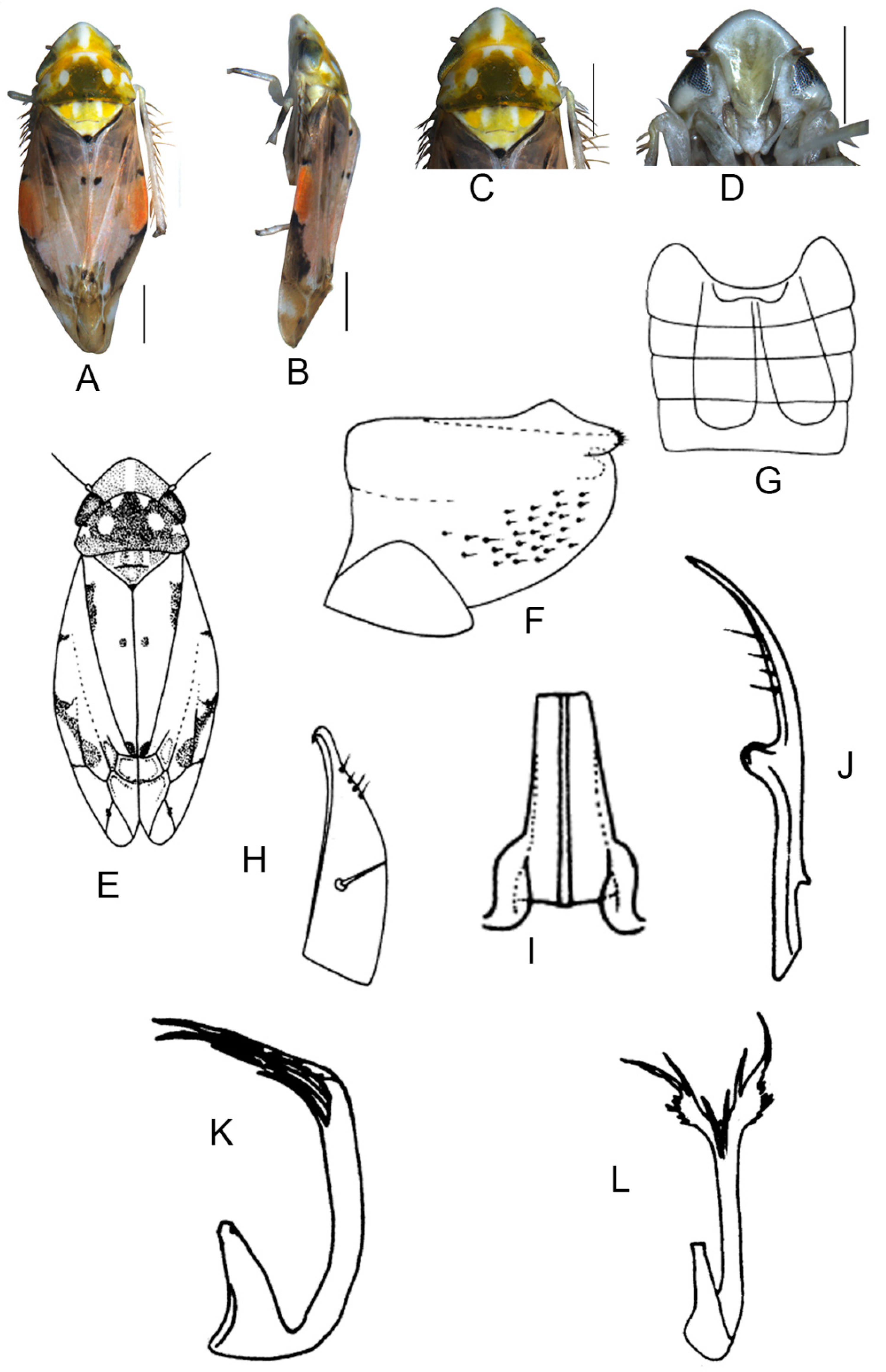 Insects 13 00345 g020