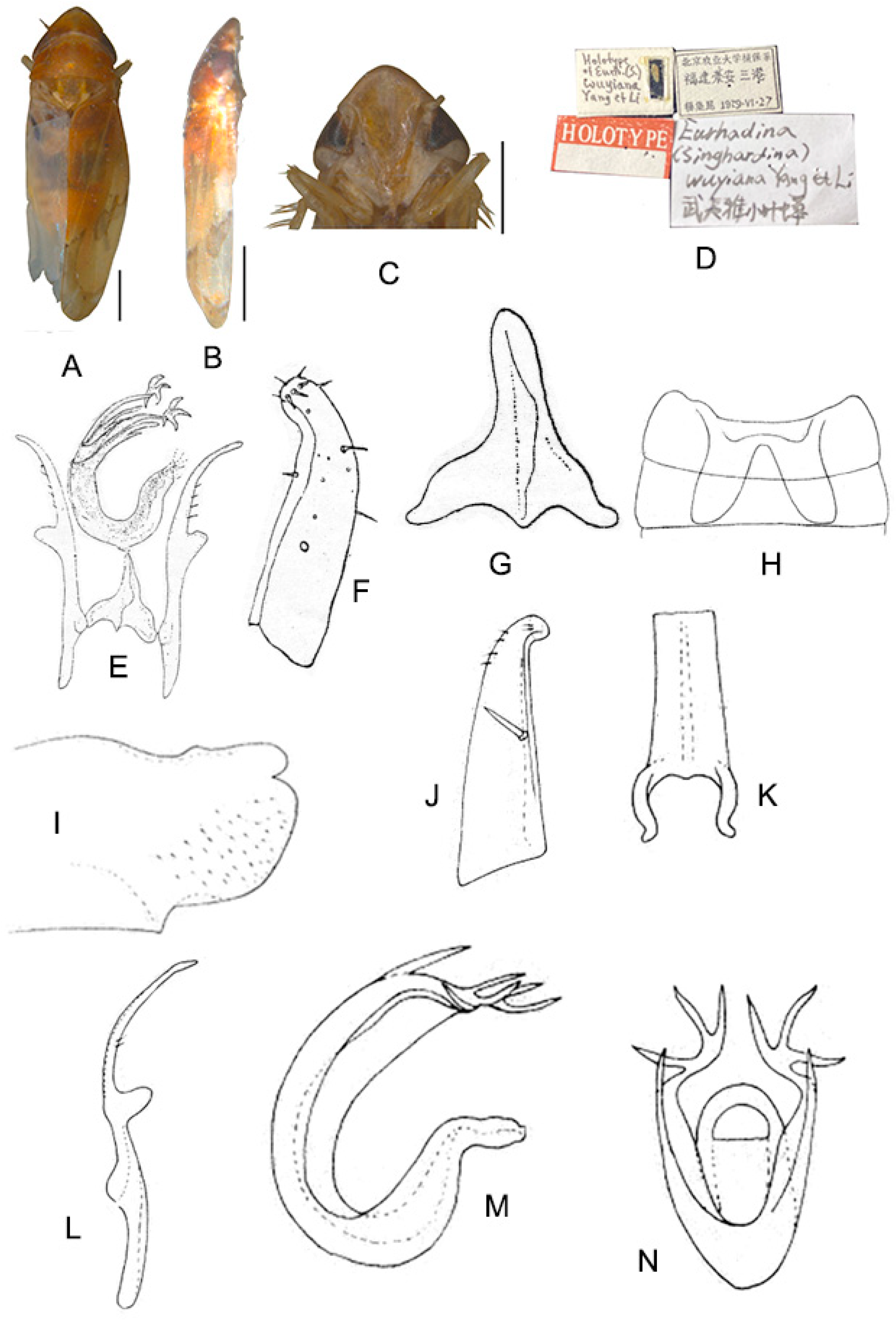 Insects 13 00345 g022