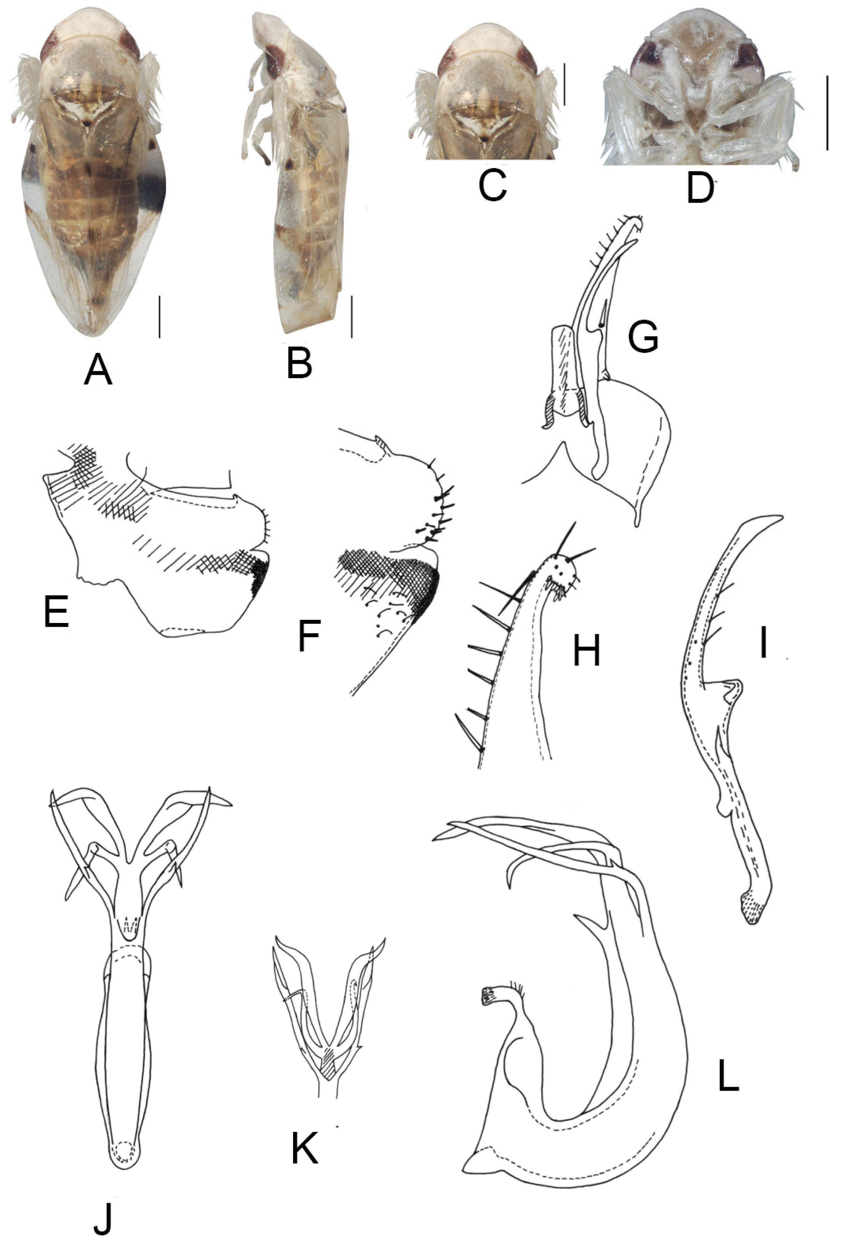 Insects 13 00345 g023