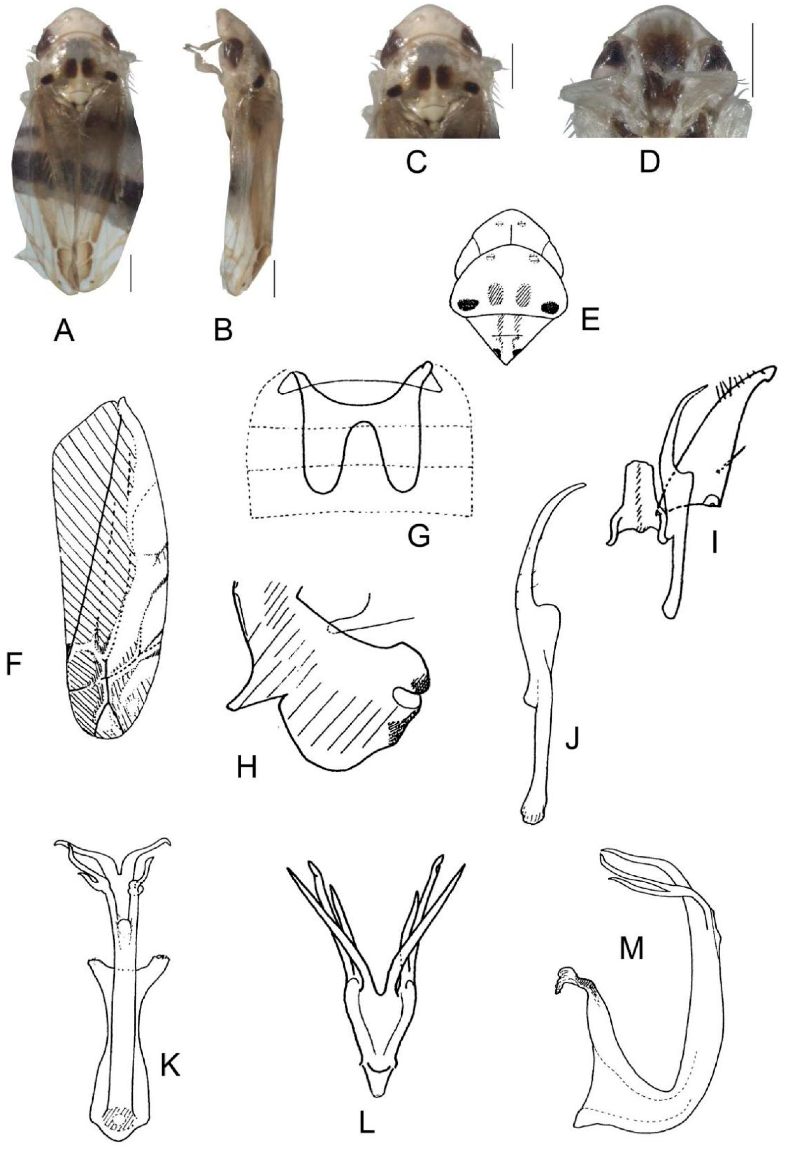 Insects 13 00345 g024