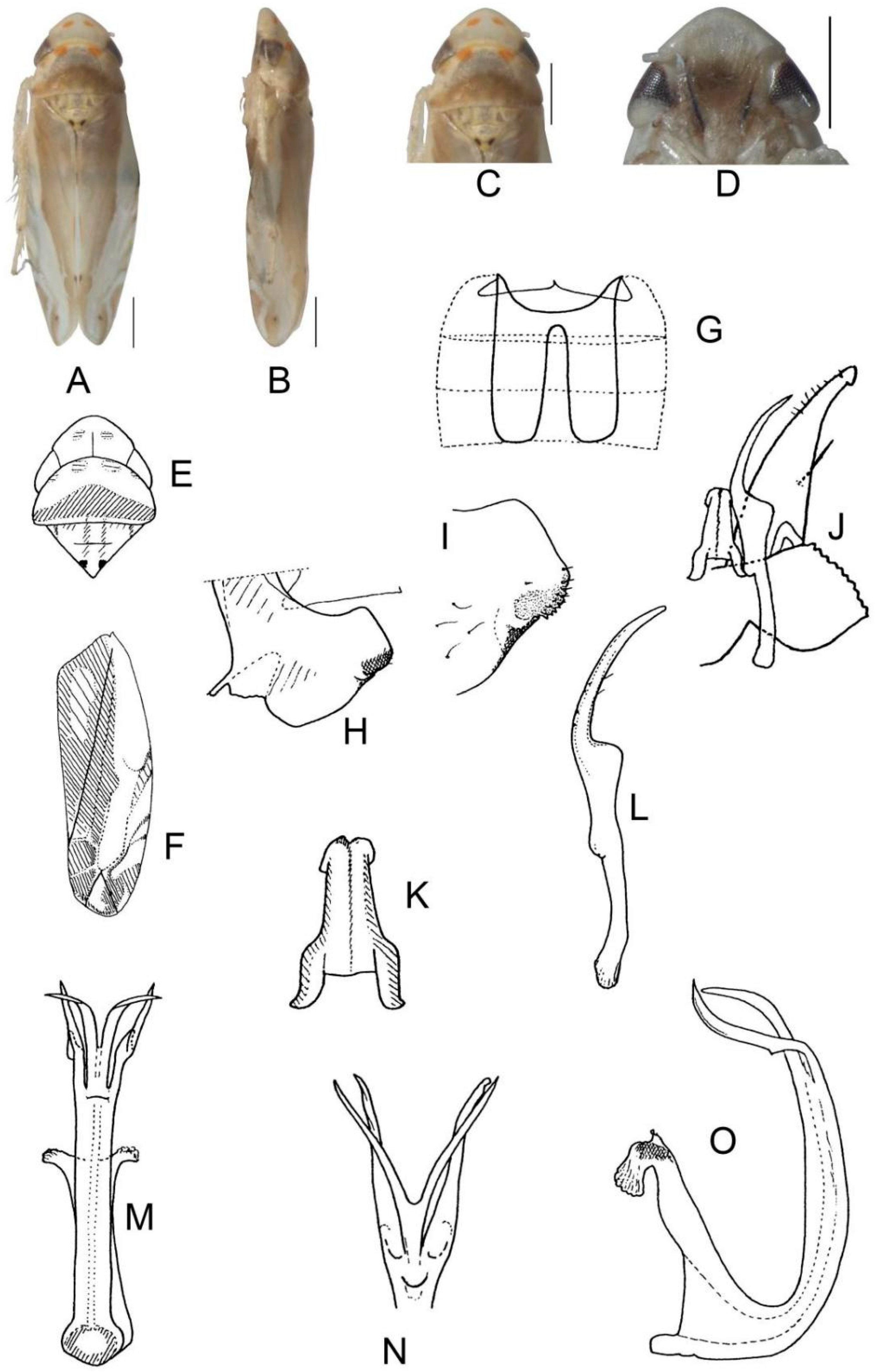 Insects 13 00345 g025