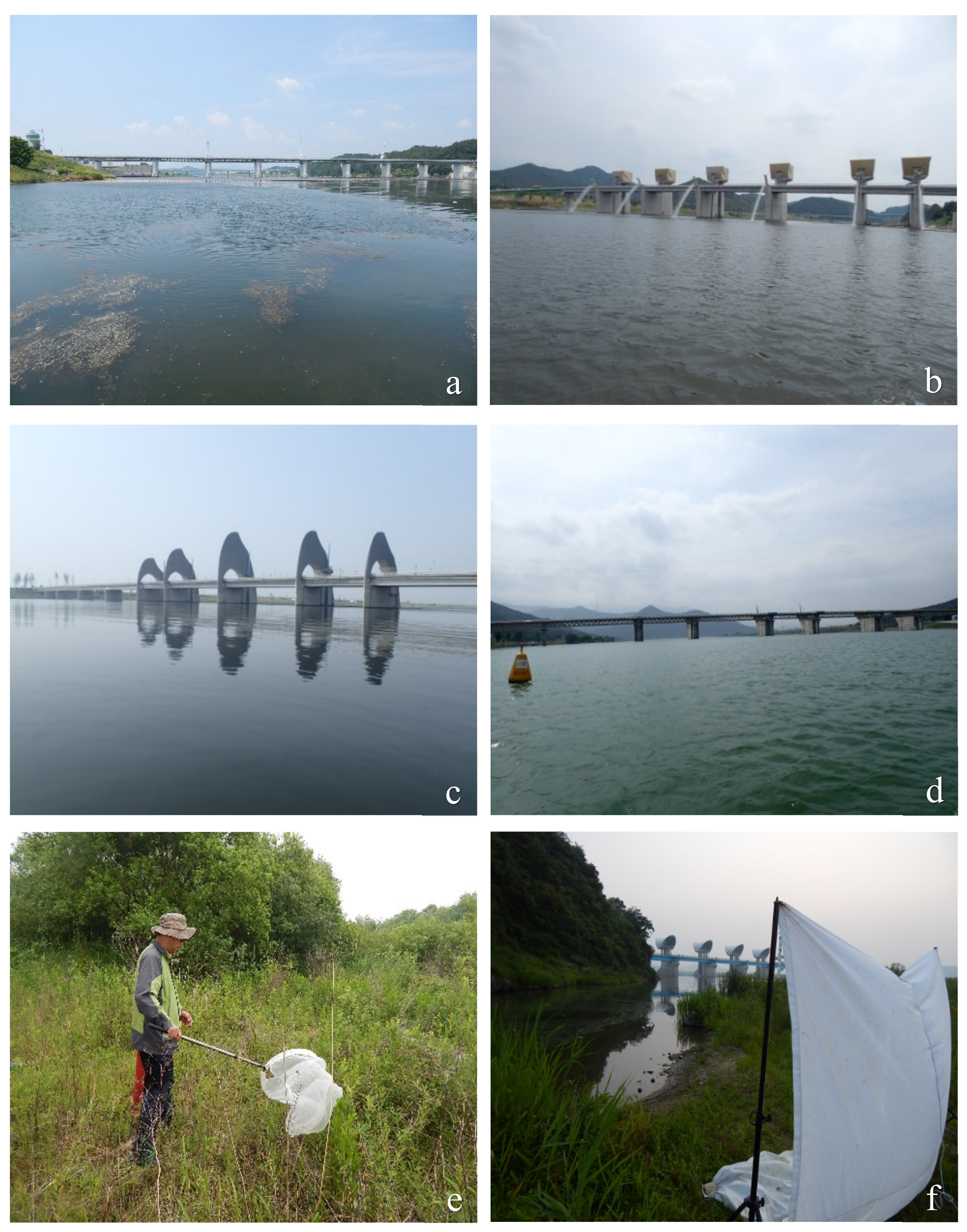 Insects 13 00346 g002