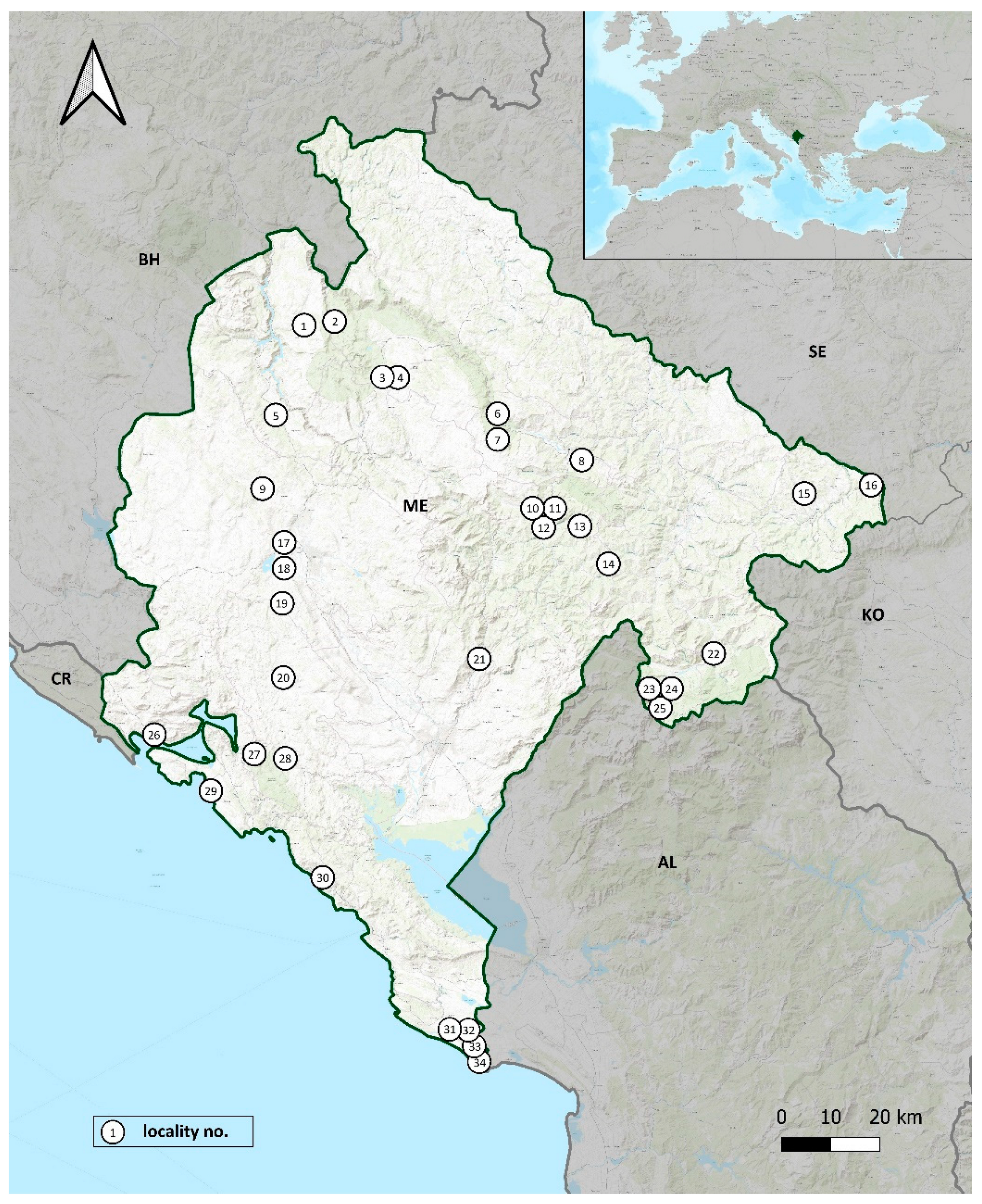 Insects 13 00352 g001