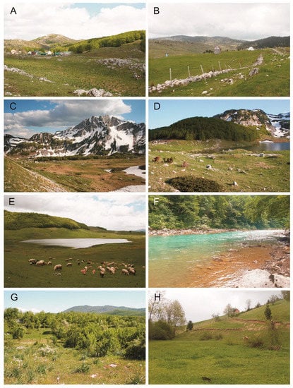 Insects 13 00352 g002 550