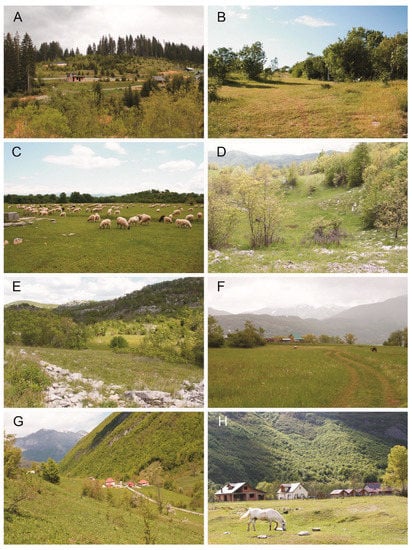 Insects 13 00352 g003 550