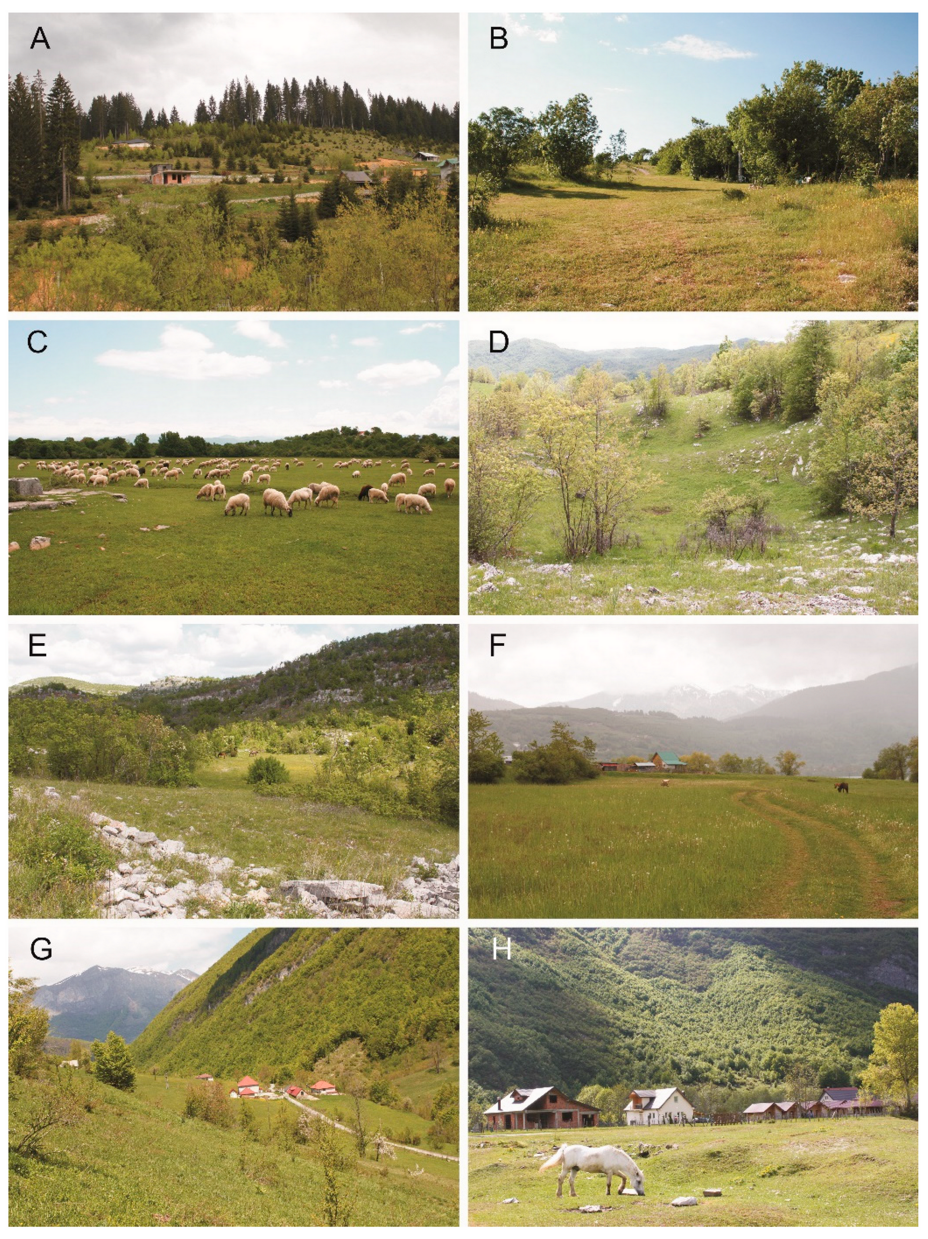 Insects 13 00352 g003