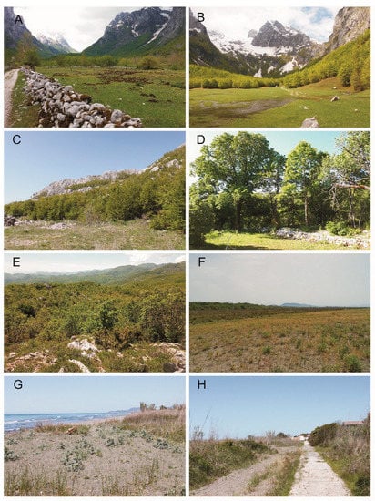 Insects 13 00352 g004 550