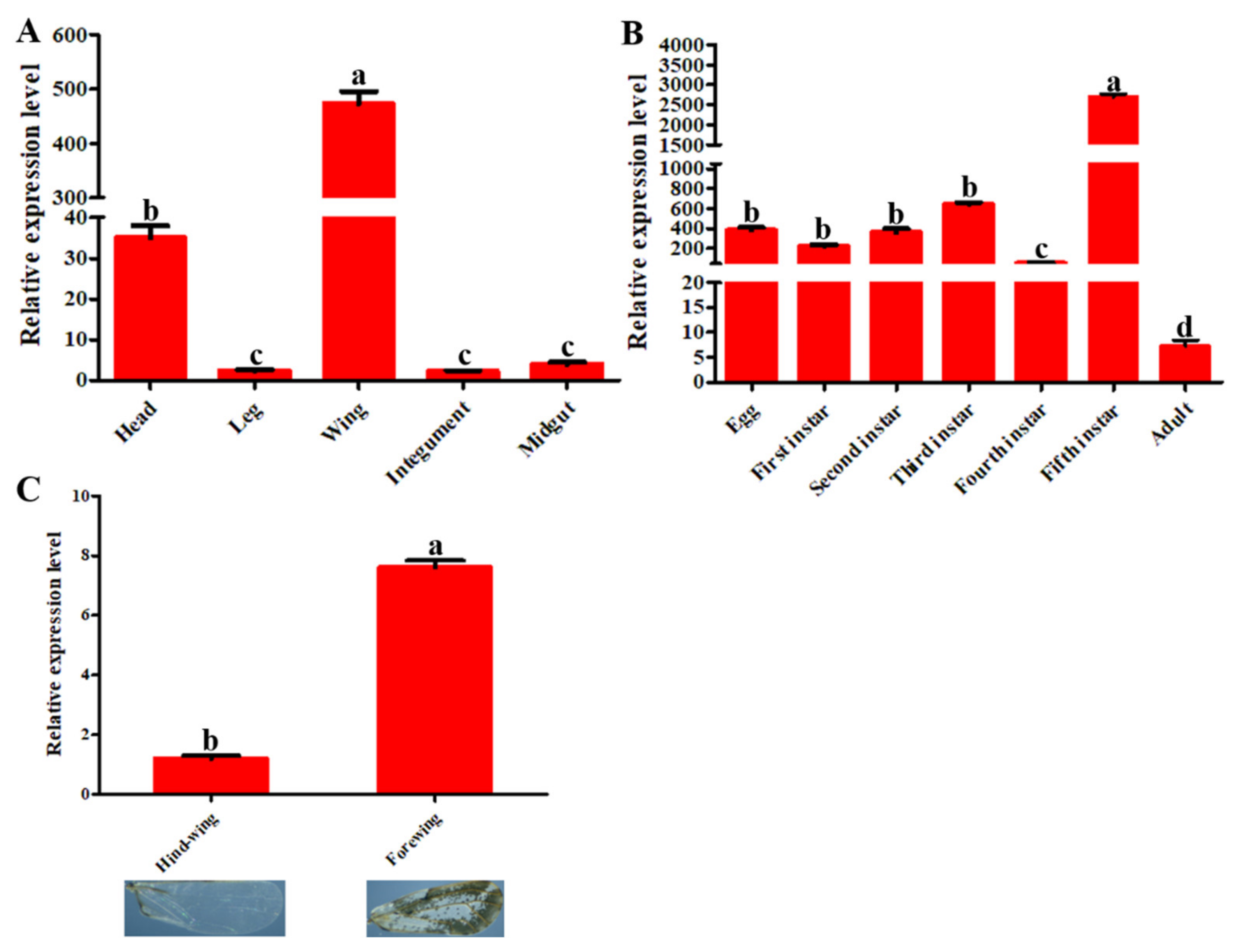 Insects 13 00353 g003
