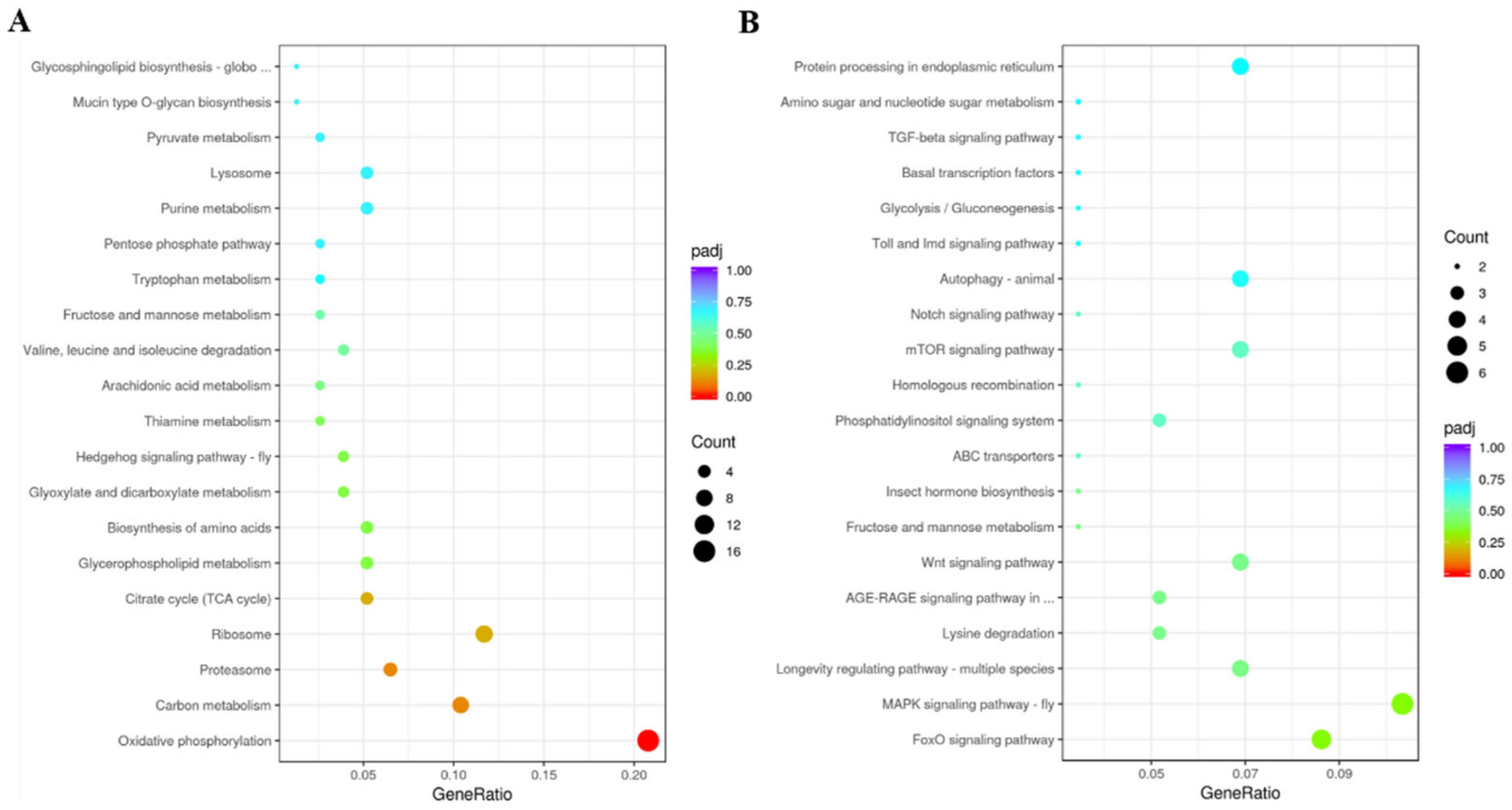 Insects 13 00353 g011