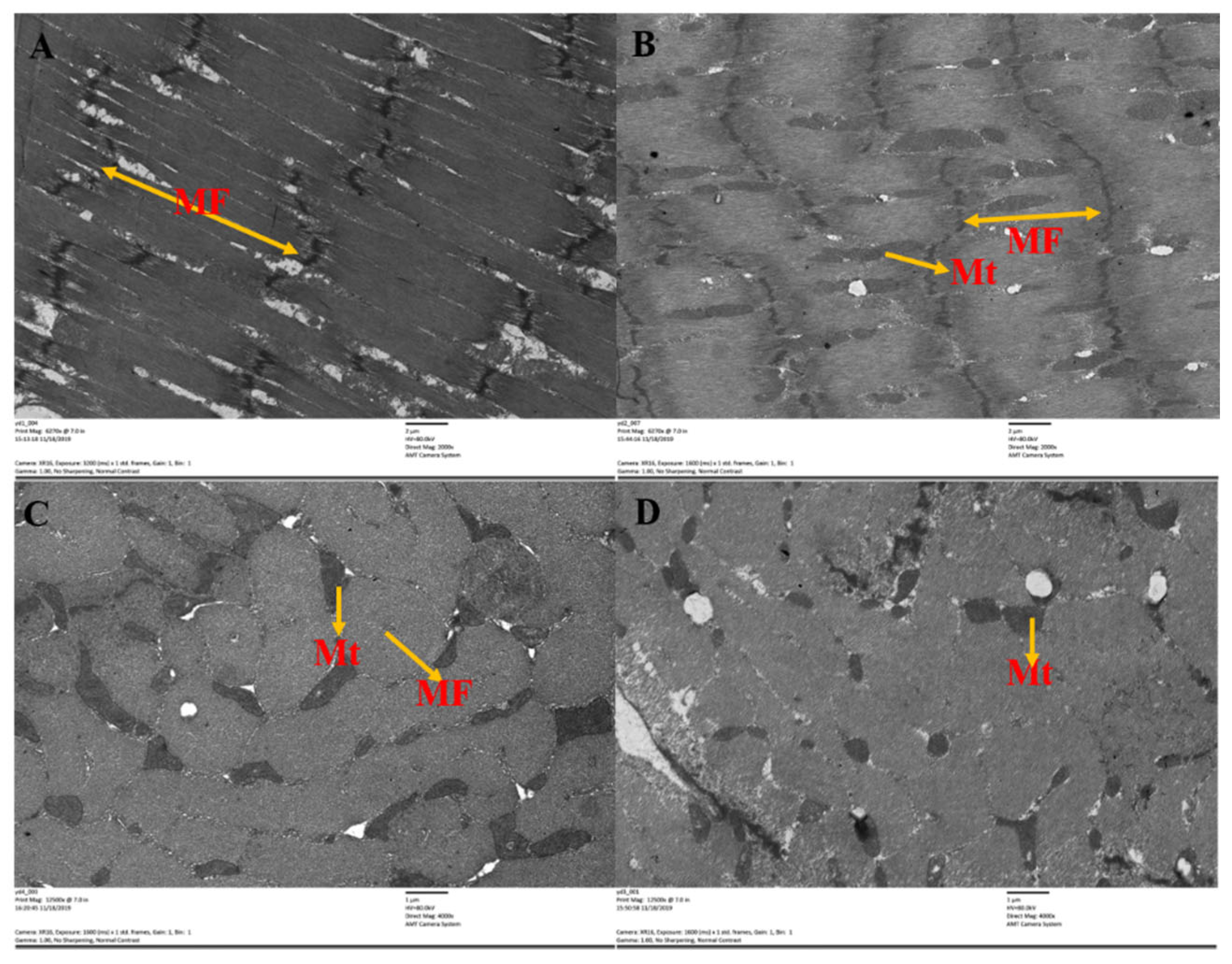Insects 13 00355 g005